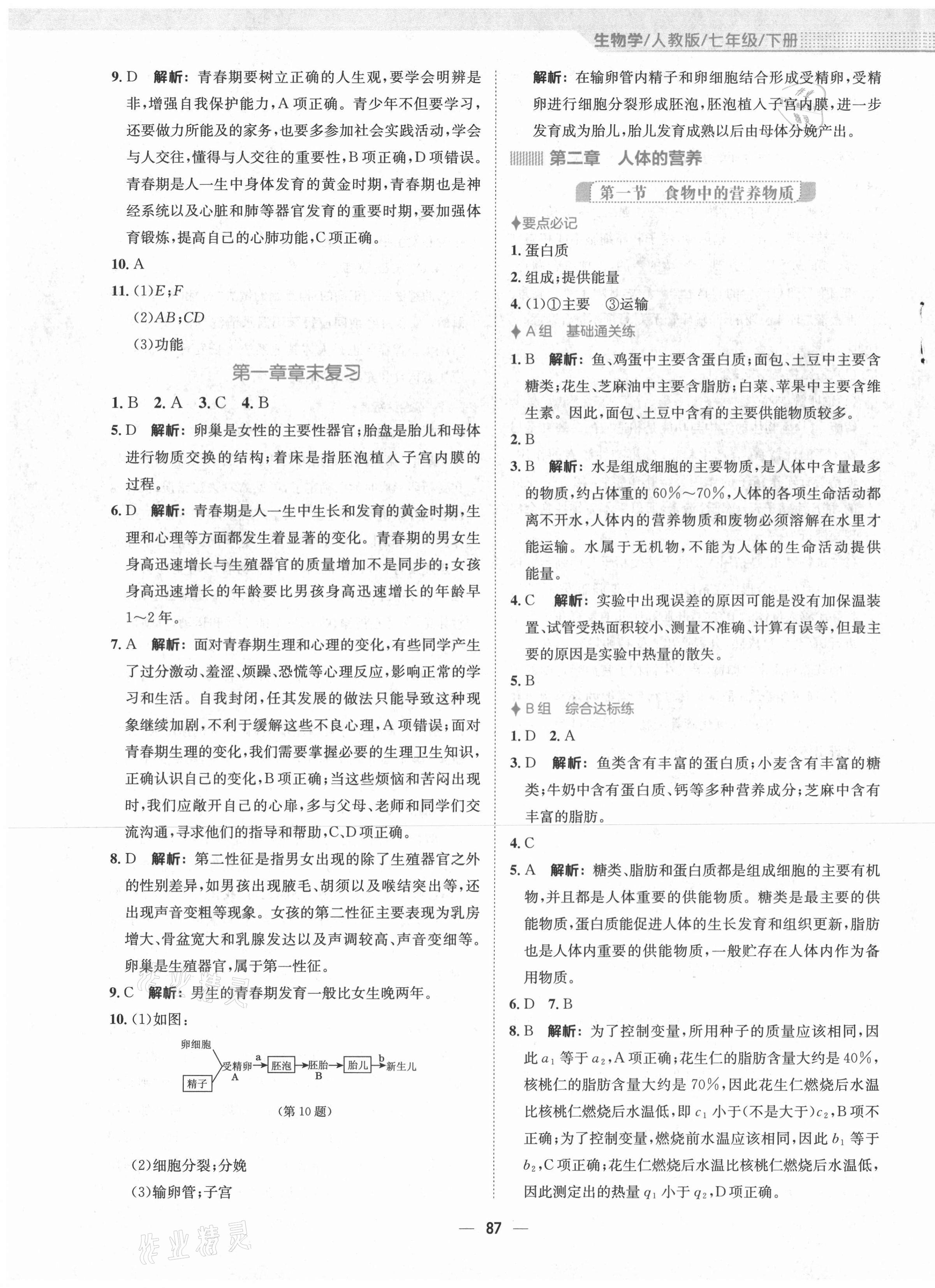 2021年新编基础训练七年级生物学下册人教版 第3页