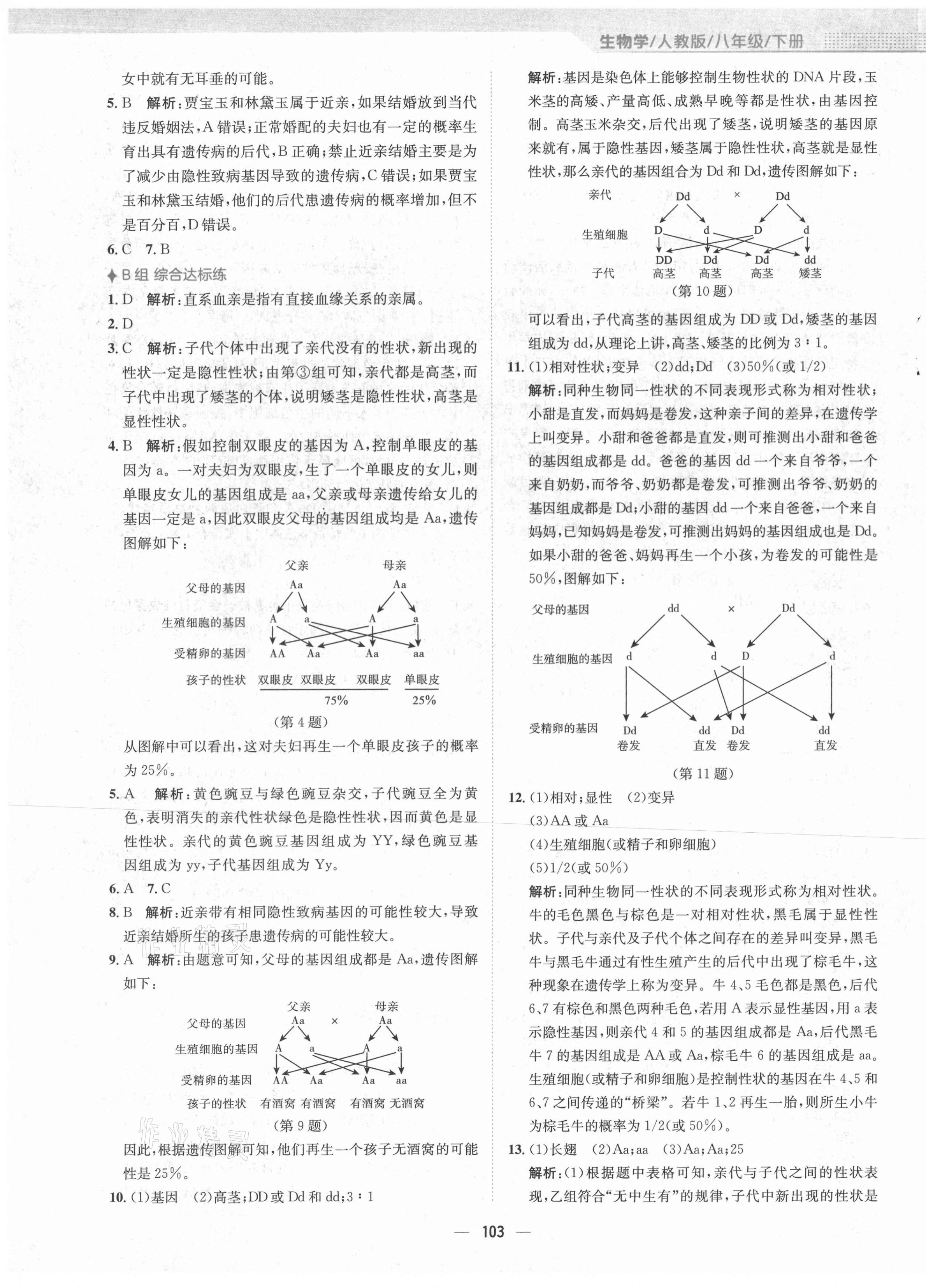 2021年新編基礎(chǔ)訓(xùn)練八年級生物下冊人教版 第7頁