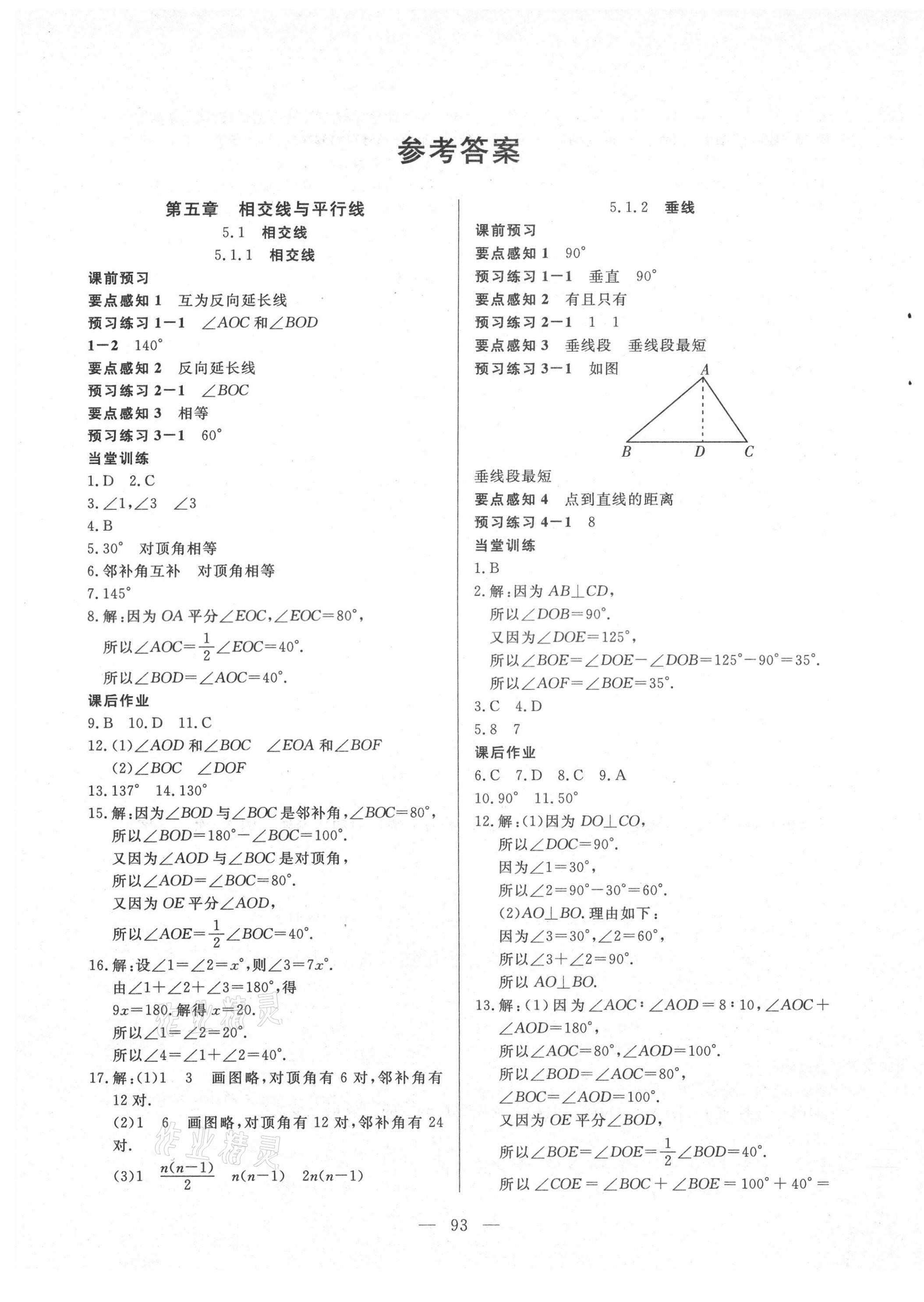 2021年自主训练七年级数学下册人教版 参考答案第1页