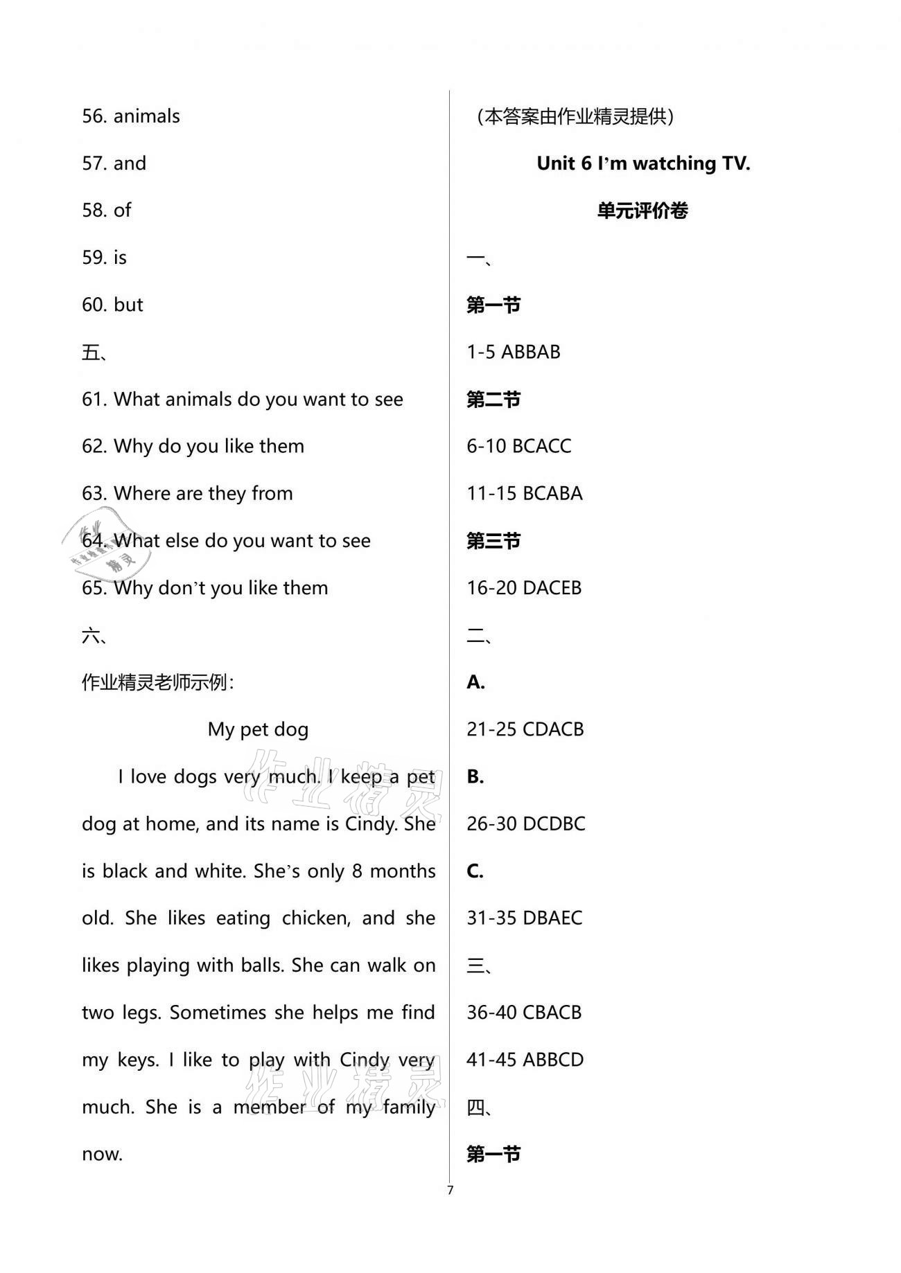 2021年基礎訓練七年級英語下冊人教版大象出版社 第7頁