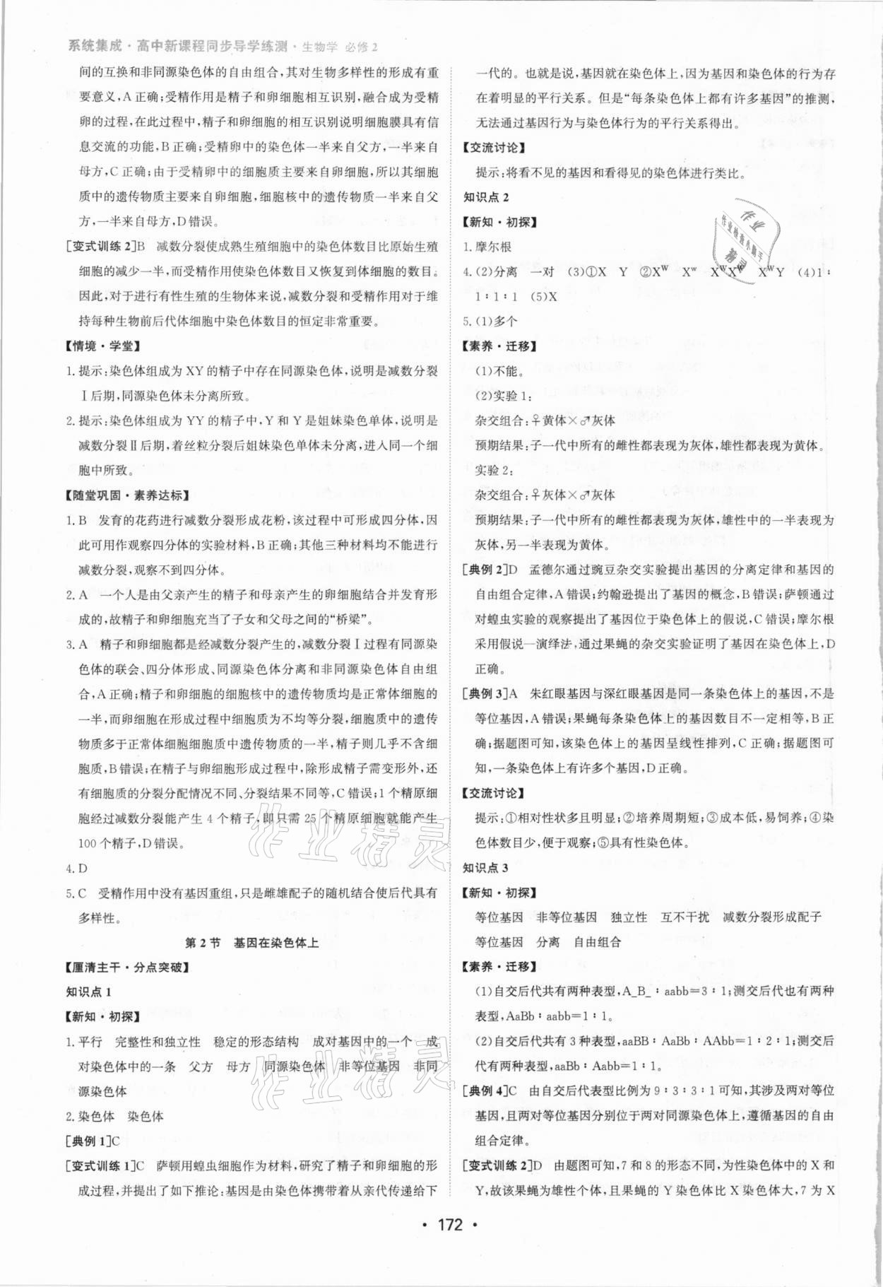 2021年系統(tǒng)集成新課程同步導學練測高中生物必修2 參考答案第6頁