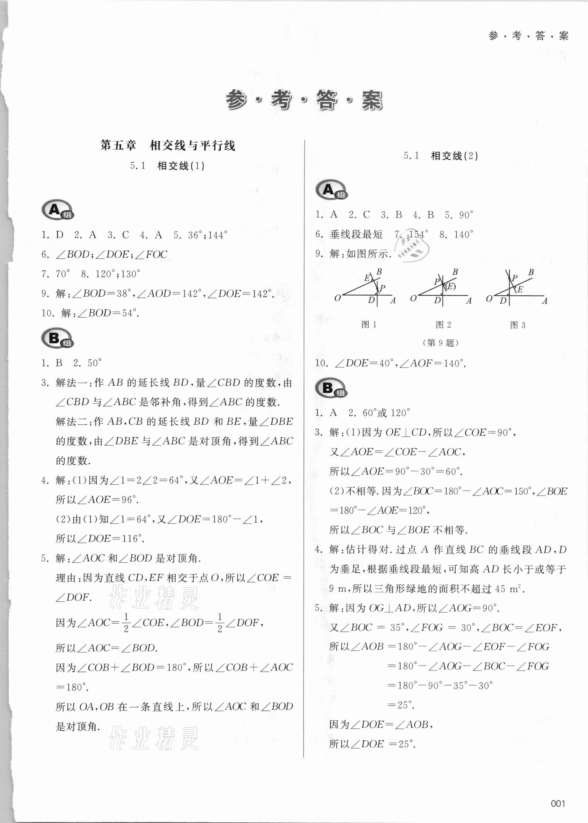 2021年学习质量监测七年级数学下册人教版 参考答案第1页