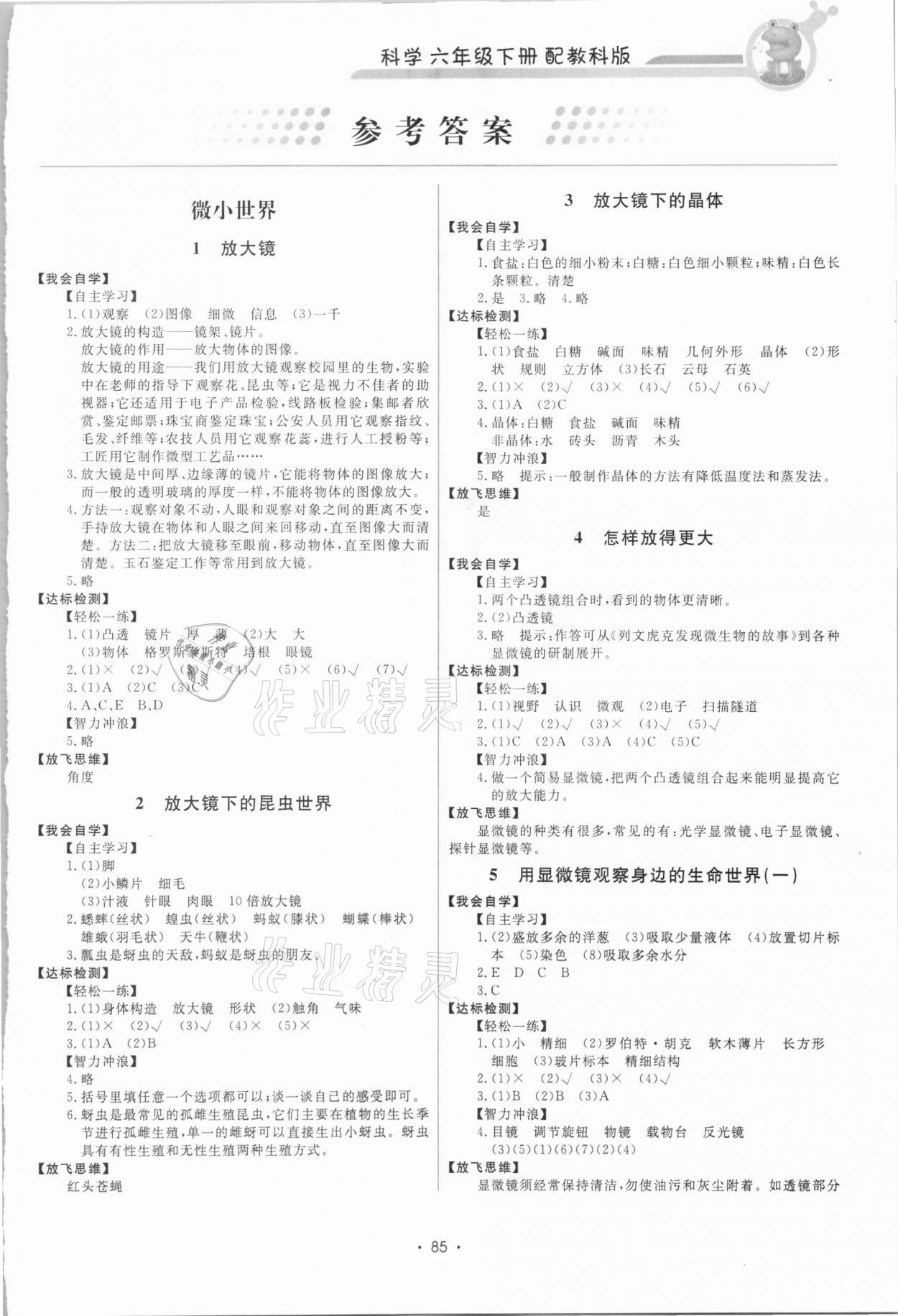 2021年能力培養(yǎng)與測試六年級(jí)科學(xué)下冊教科版 第1頁