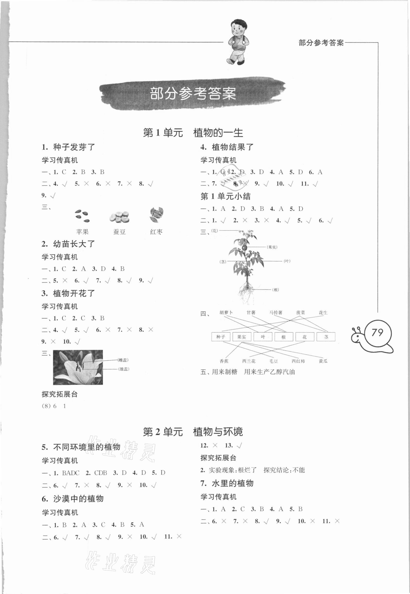 2021年小學(xué)科學(xué)習(xí)作三年級(jí)下冊(cè)蘇教版 第1頁(yè)