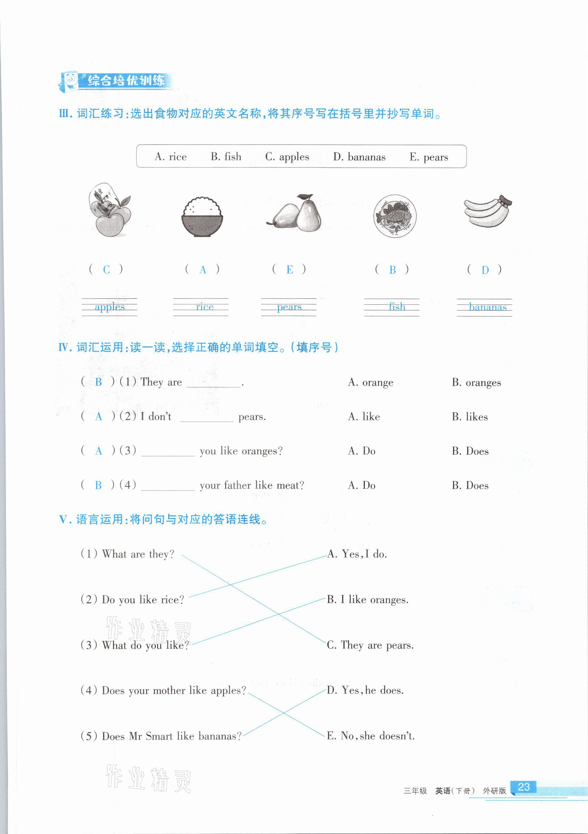 2021年学习之友三年级英语下册外研版 参考答案第23页