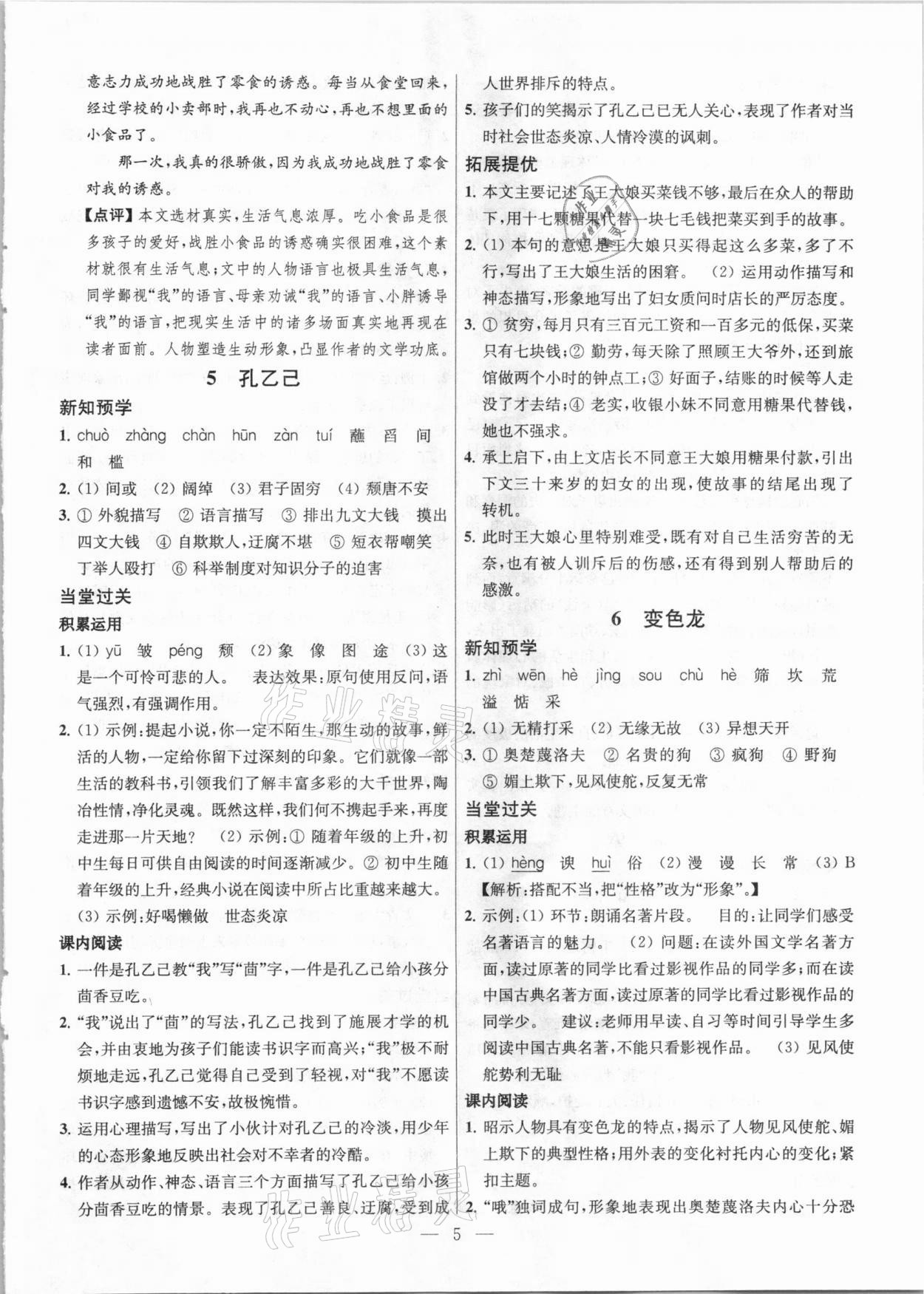 2021年金钥匙提优训练课课练九年级语文下册人教版 参考答案第5页