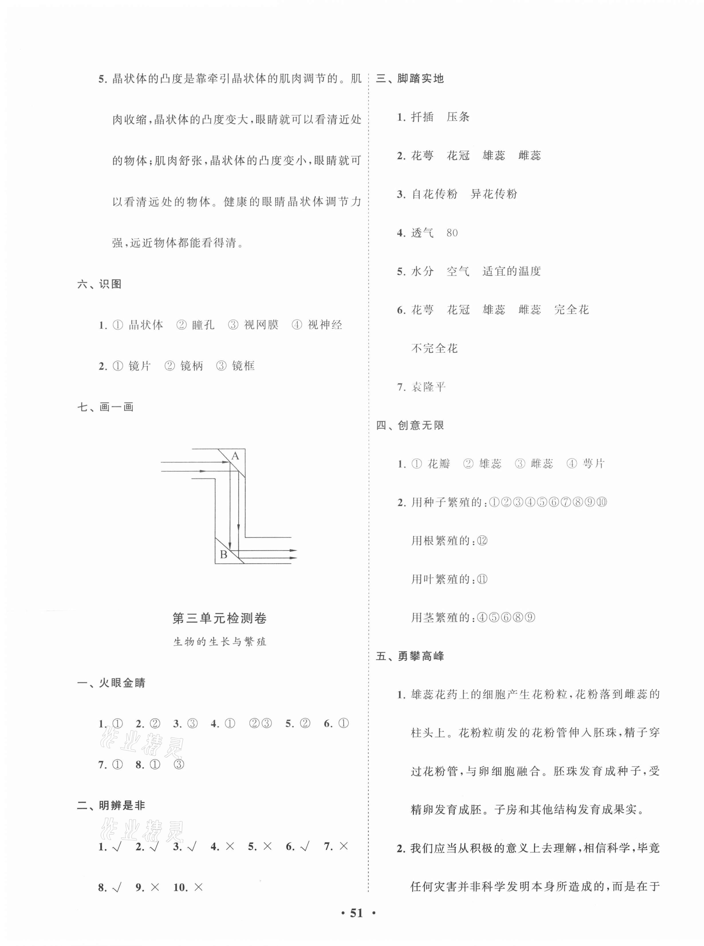 2021年小學(xué)同步練習(xí)冊(cè)分層卷五年級(jí)科學(xué)下冊(cè)青島版濰坊專版 第3頁(yè)