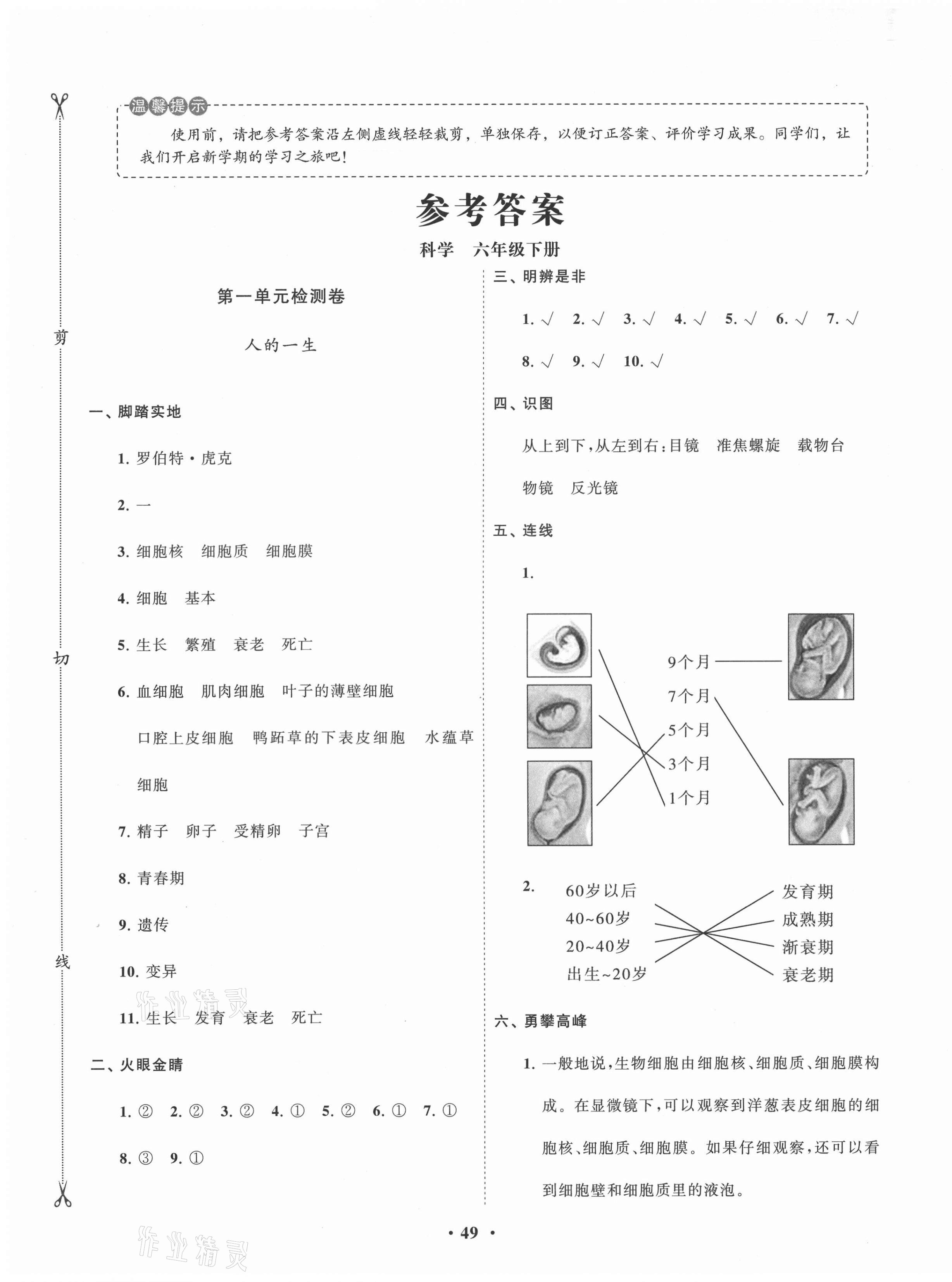 2021年小学同步练习册分层卷六年级科学下册青岛版潍坊专版 第1页