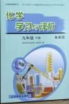 2021年化學學習與評價九年級下冊魯教版山東教育出版社