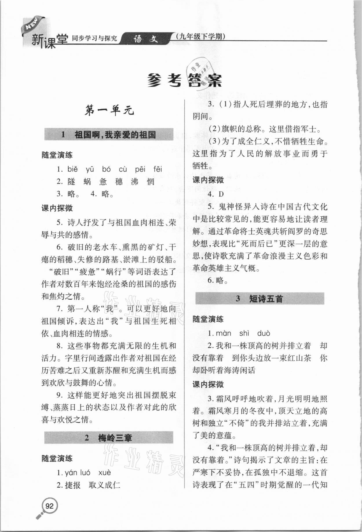 2021年新课堂同步学习与探究九年级语文下册人教版金乡专版 第1页