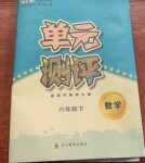 2021年單元測評六年級數(shù)學下冊西師大版四川教育出版社