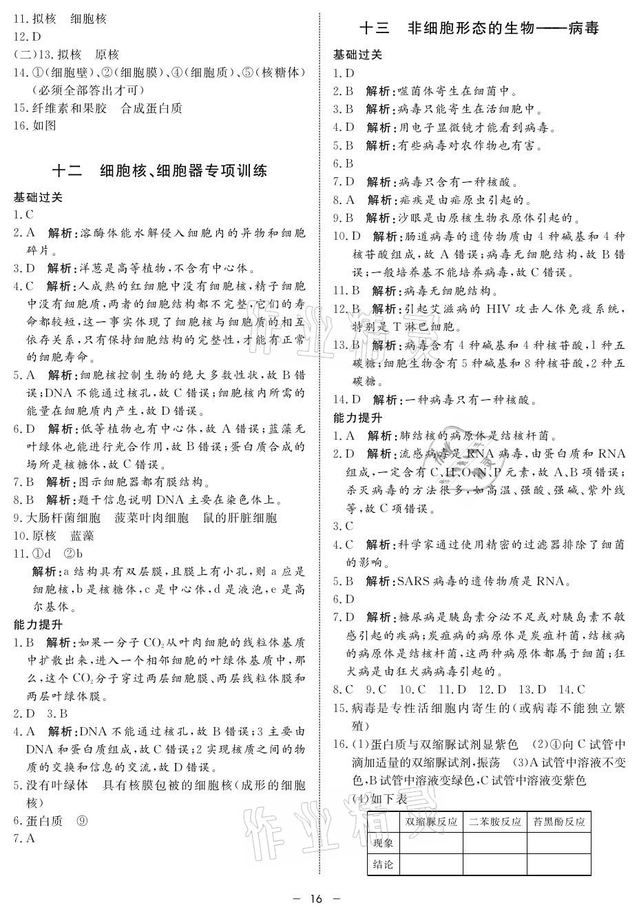 2021年鐘書金牌金典導(dǎo)學(xué)案高中生物 參考答案第16頁