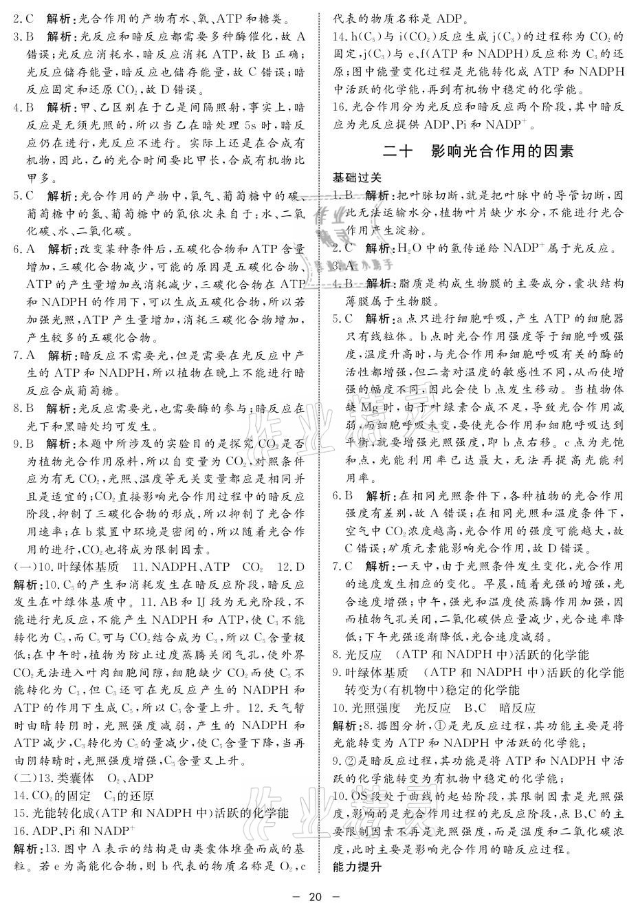 2021年鐘書金牌金典導(dǎo)學(xué)案高中生物 參考答案第20頁