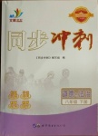 2021年同步沖刺八年級道德與法治下冊人教版廣東專版