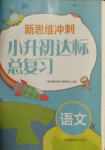 2021年新思维冲刺小升初达标总复习语文