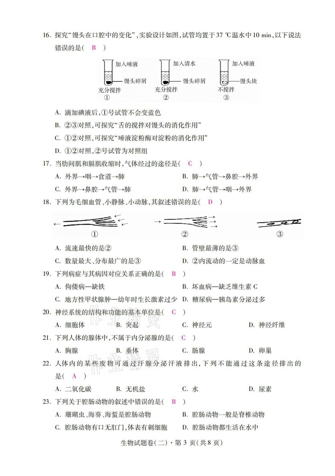 2021年本土卷生物云南專版 第11頁