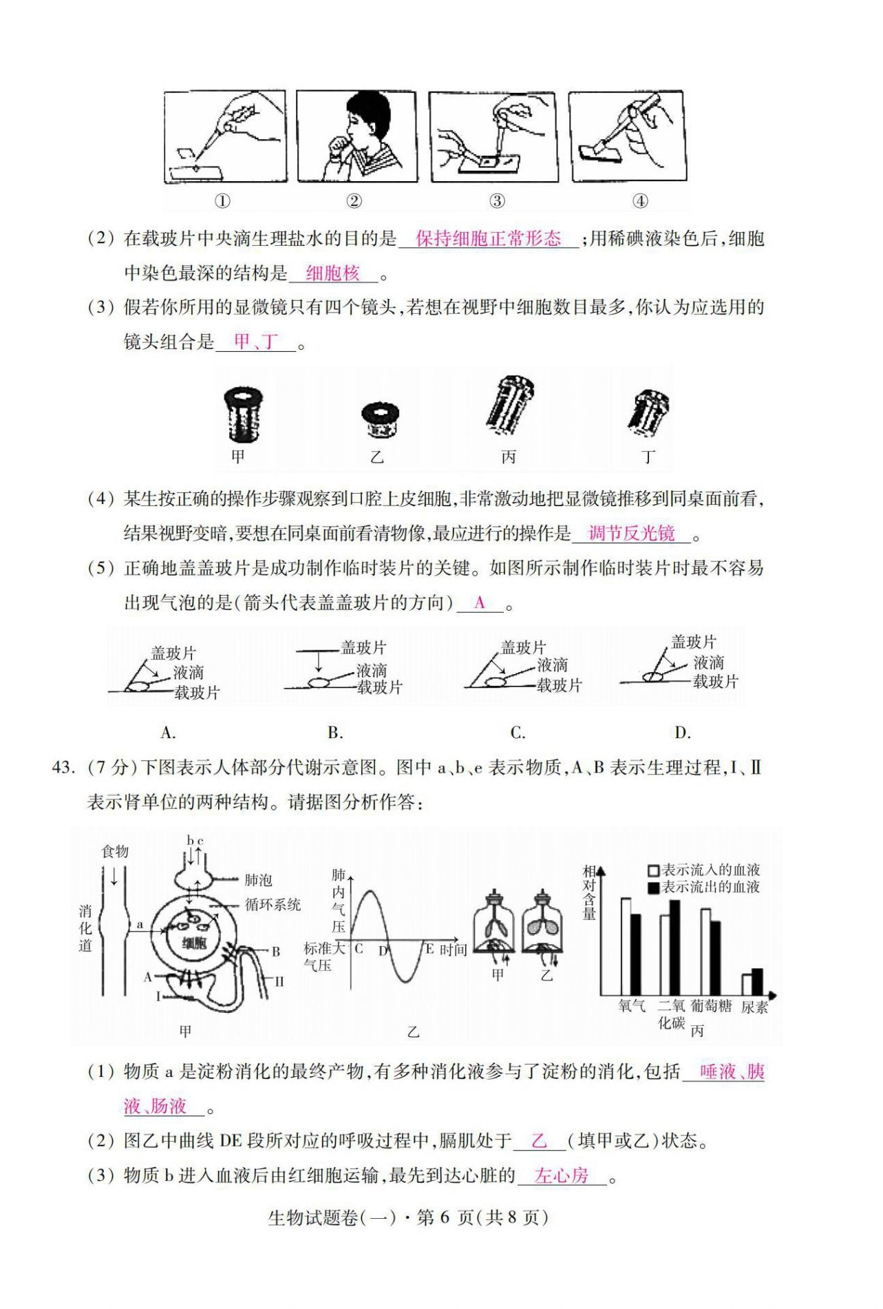 2021年本土卷生物云南專版 第6頁