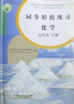 2021年同步轻松练习九年级化学下册人教版吉林专版