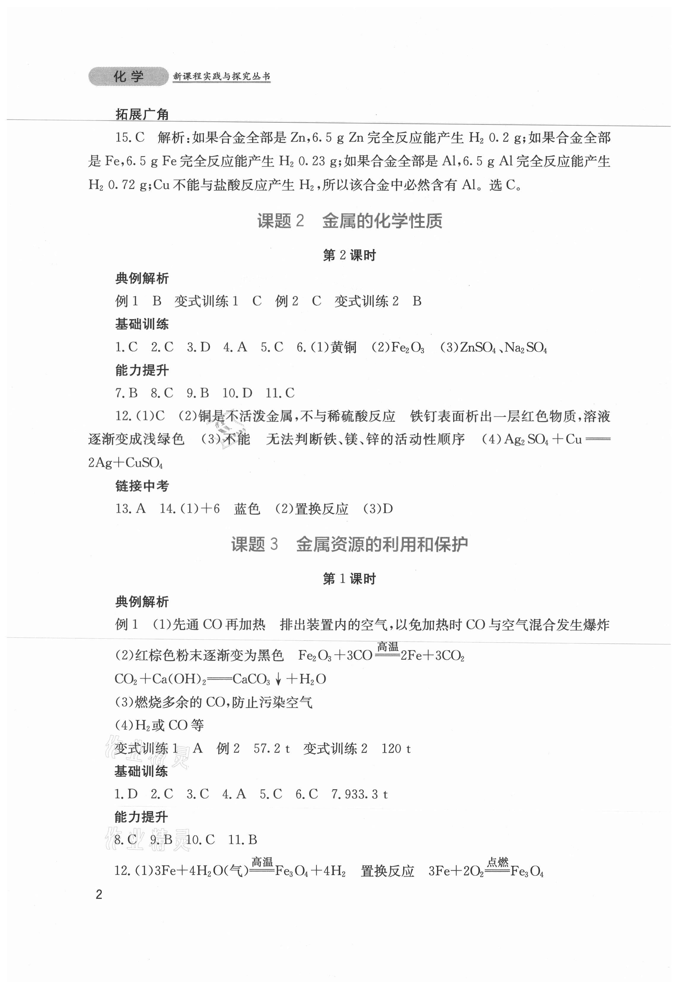 2021年新课程实践与探究丛书九年级化学下册人教版 第2页