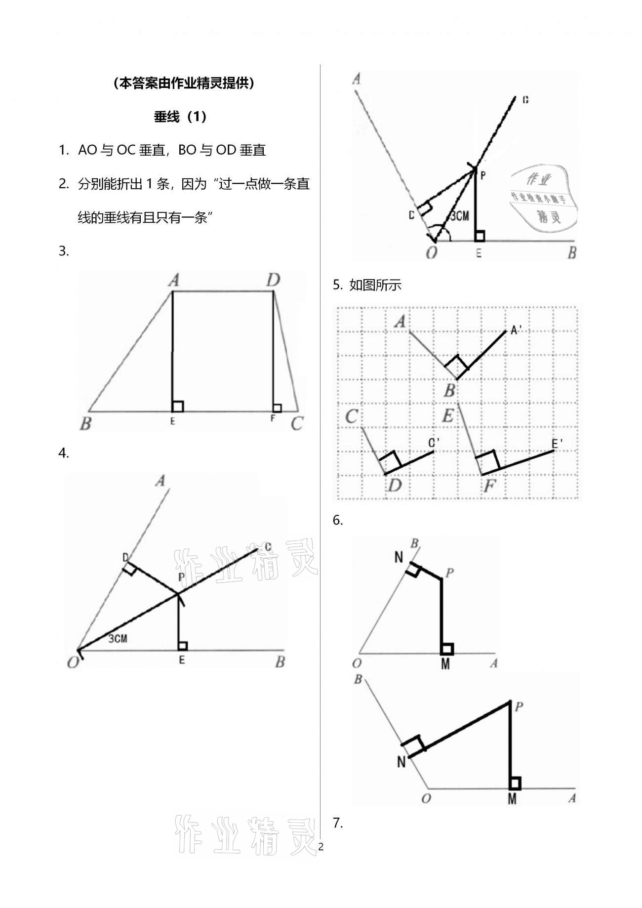 2021年初中数学活页练习七年级下册人教版福建少年儿童出版社 参考答案第2页