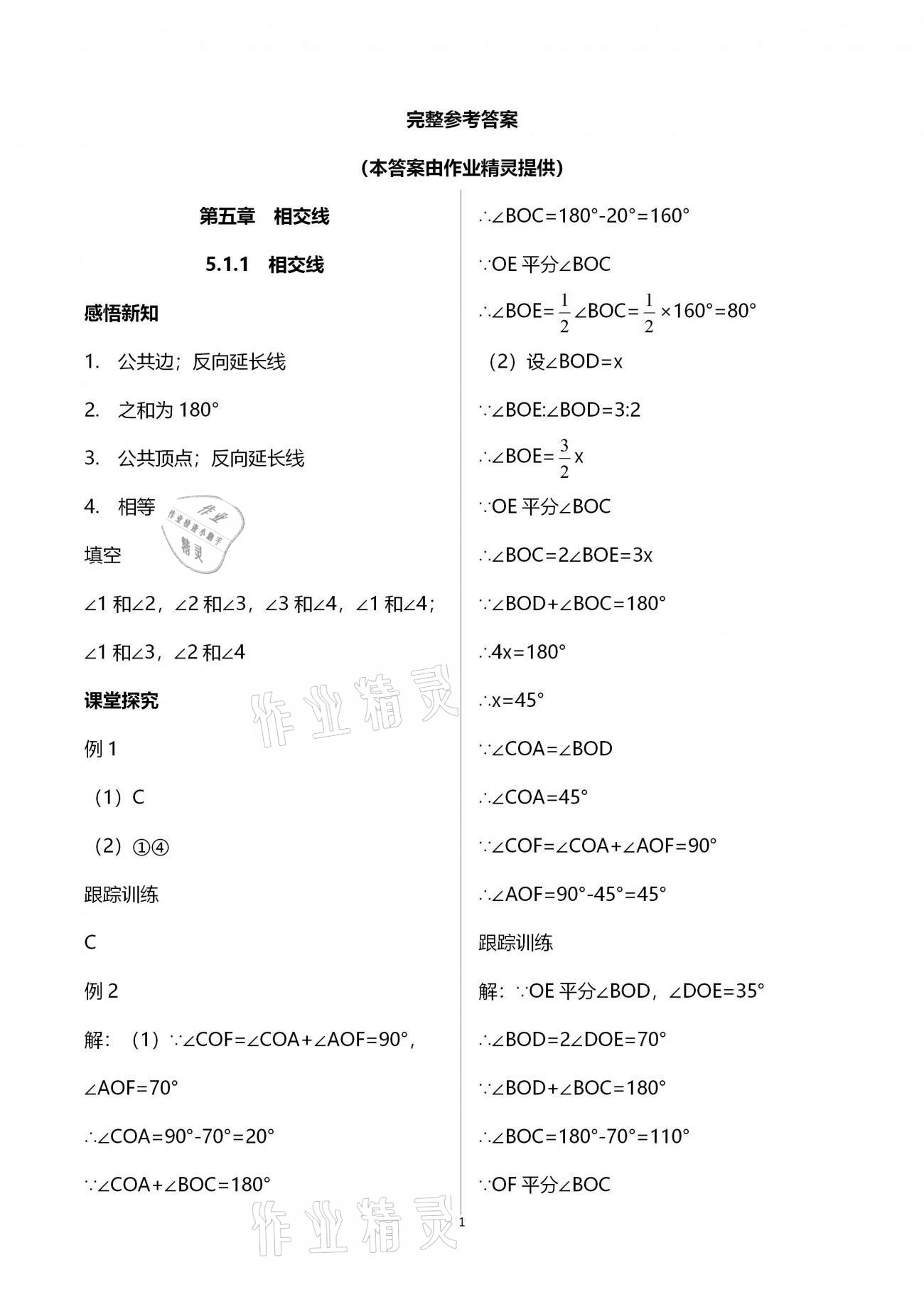 2021年学习指要七年级数学下册人教版 参考答案第1页