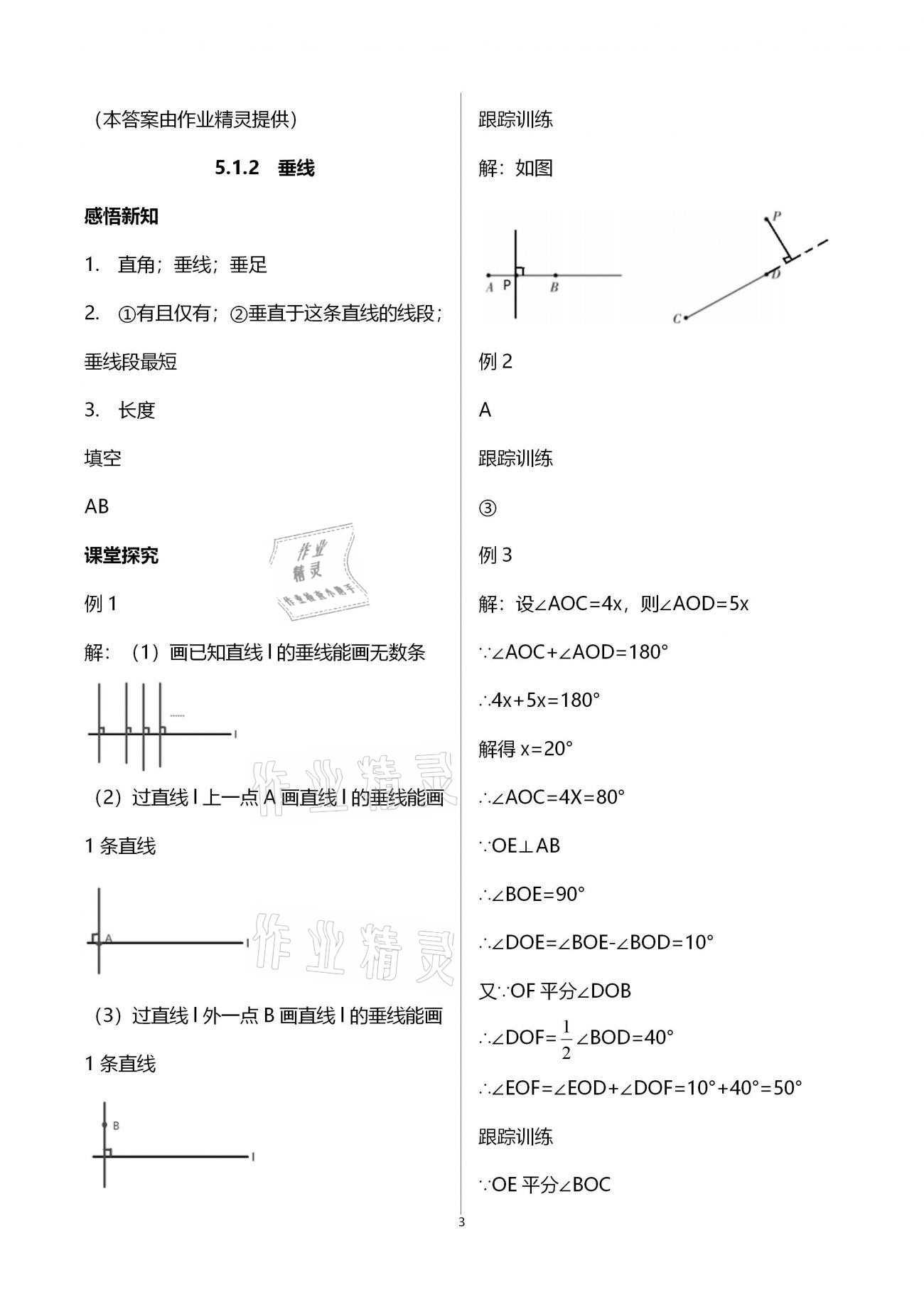 2021年学习指要七年级数学下册人教版 参考答案第3页