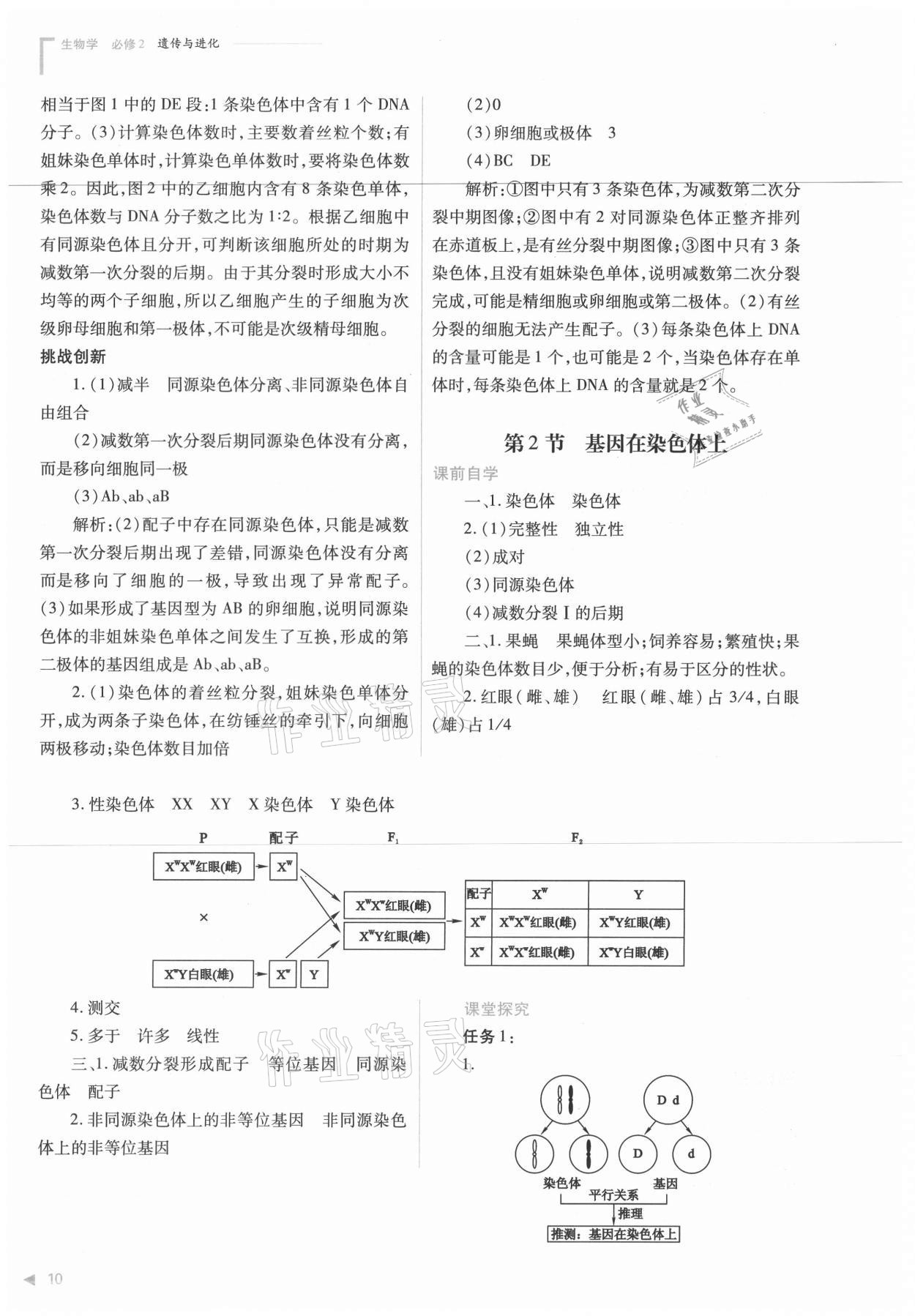 2021年普通高中新课程同步练习册生物必修2人教版 参考答案第10页