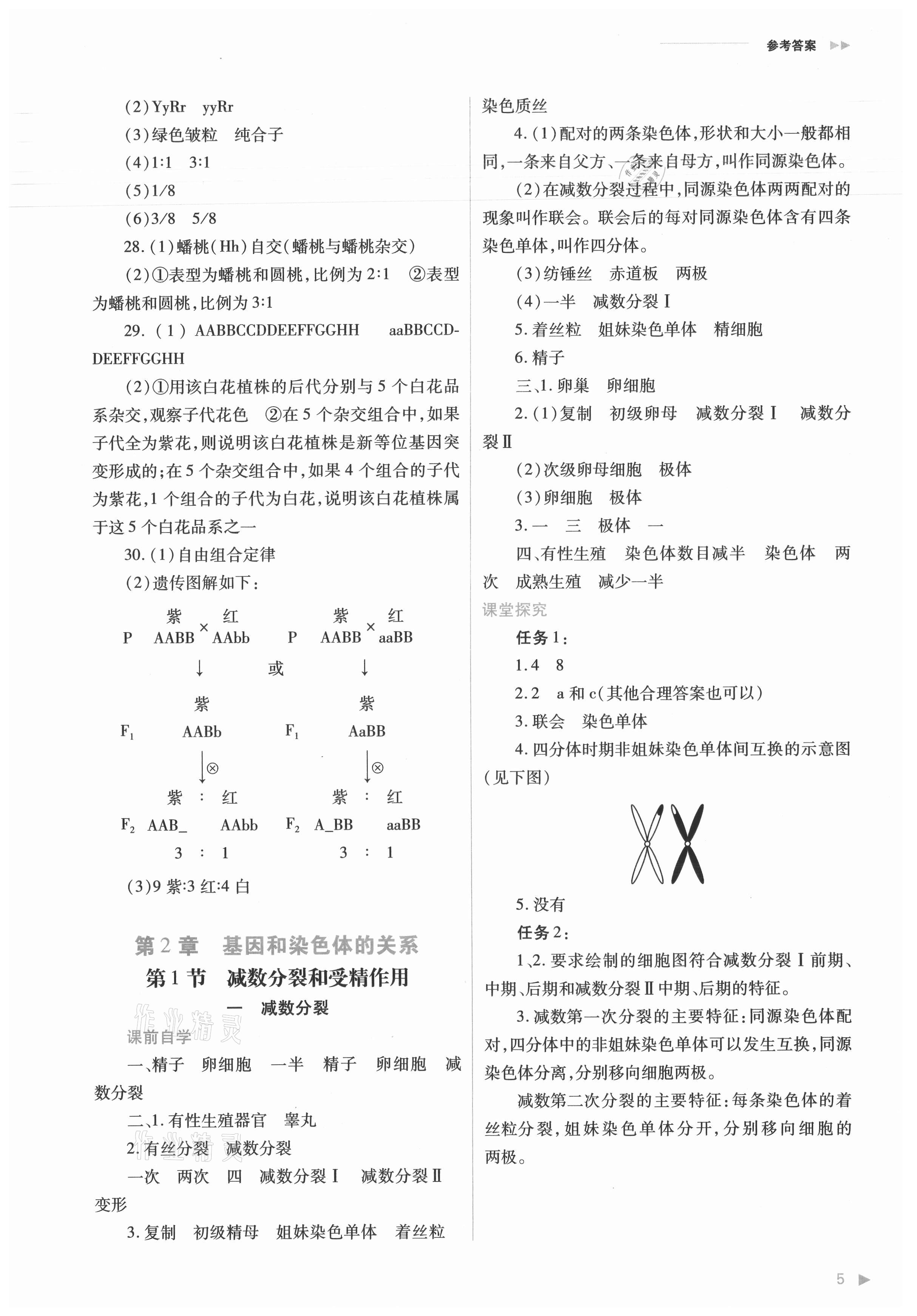 2021年普通高中新課程同步練習(xí)冊生物必修2人教版 參考答案第5頁