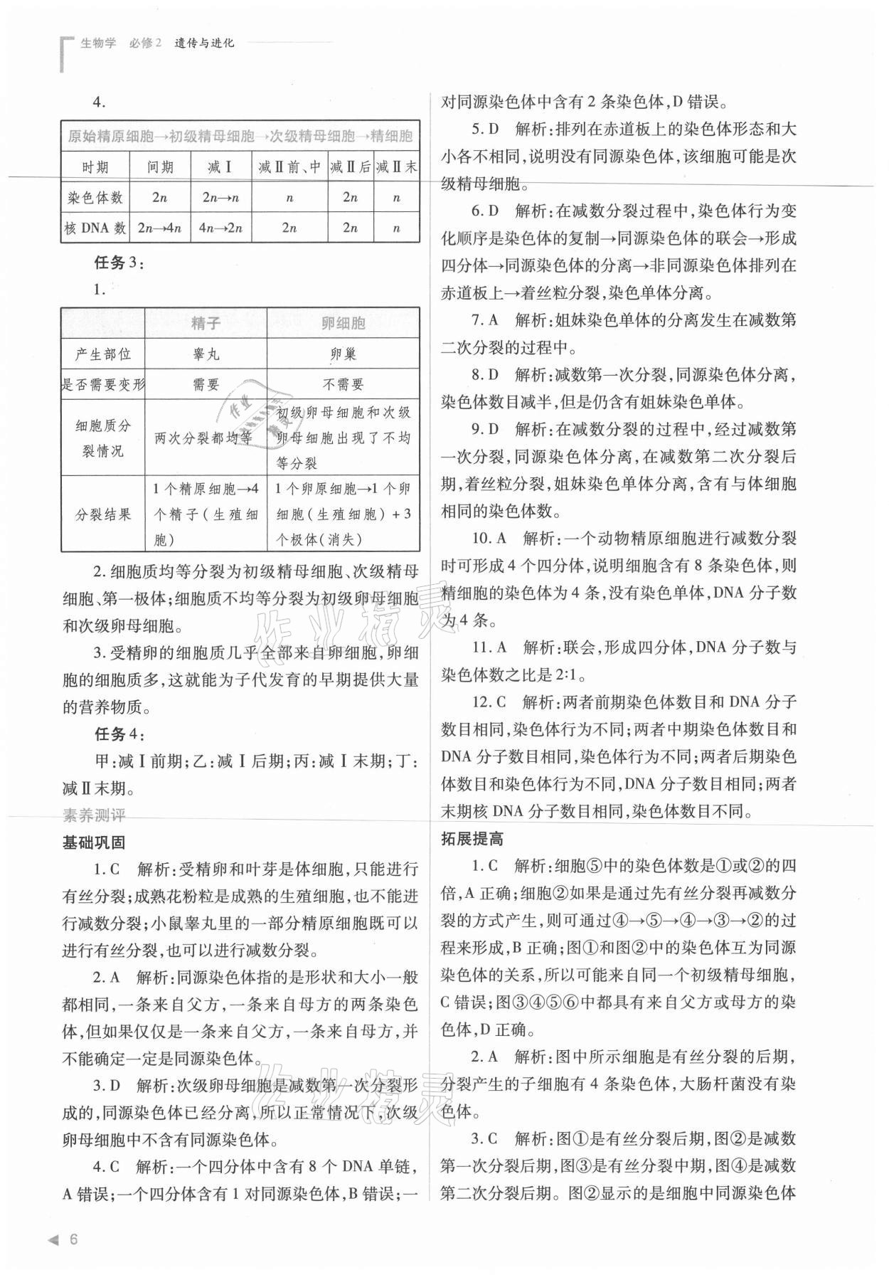 2021年普通高中新課程同步練習(xí)冊(cè)生物必修2人教版 參考答案第6頁(yè)