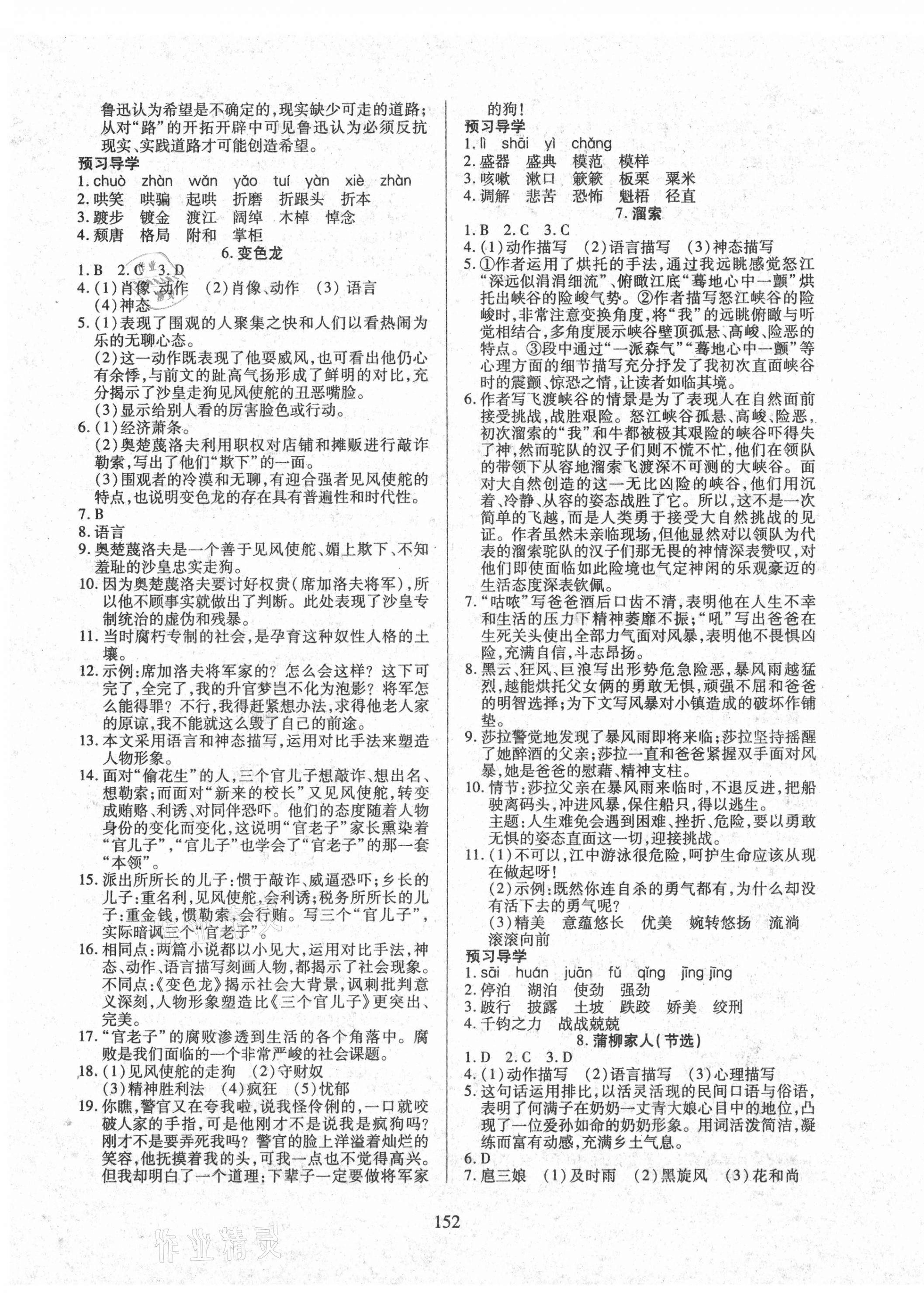 2021年有效课堂九年级语文下册人教版 参考答案第3页