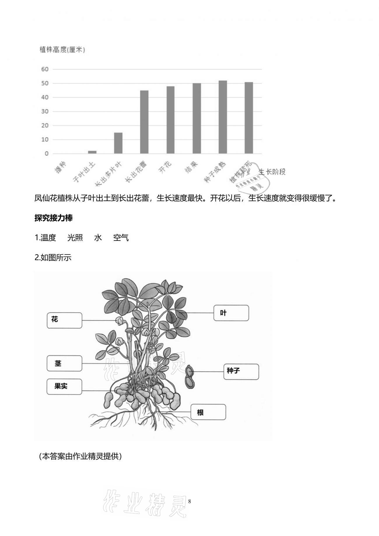 2021年知識與能力訓練四年級科學下冊教科版 第8頁