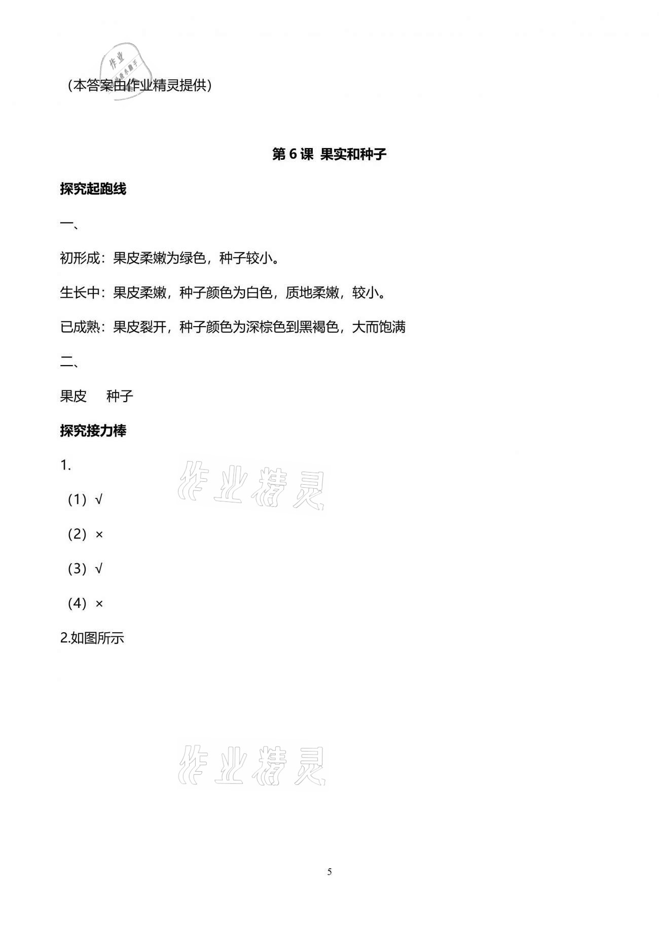 2021年知識與能力訓練四年級科學下冊教科版 第5頁