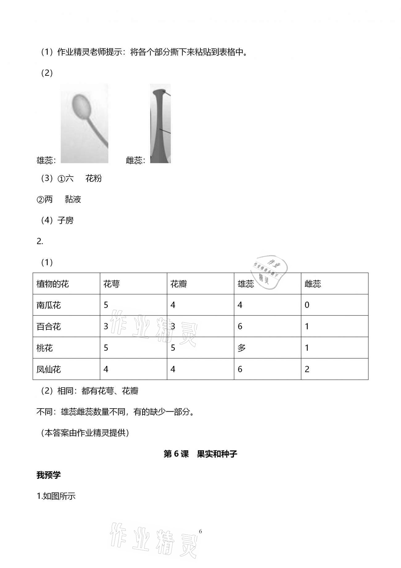 2021年导学新作业四年级科学下册教科版 第6页