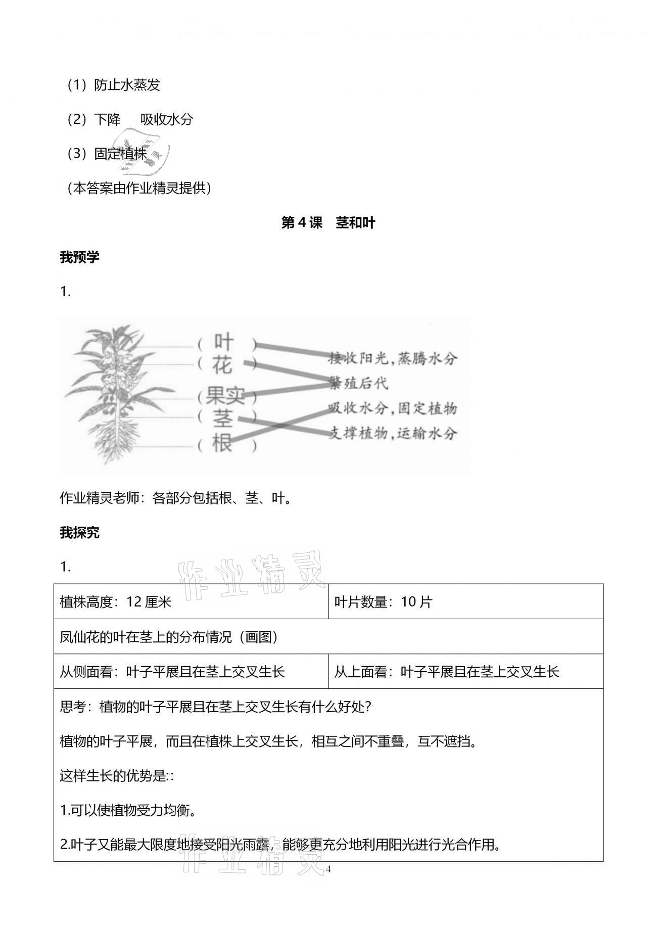 2021年导学新作业四年级科学下册教科版 第4页