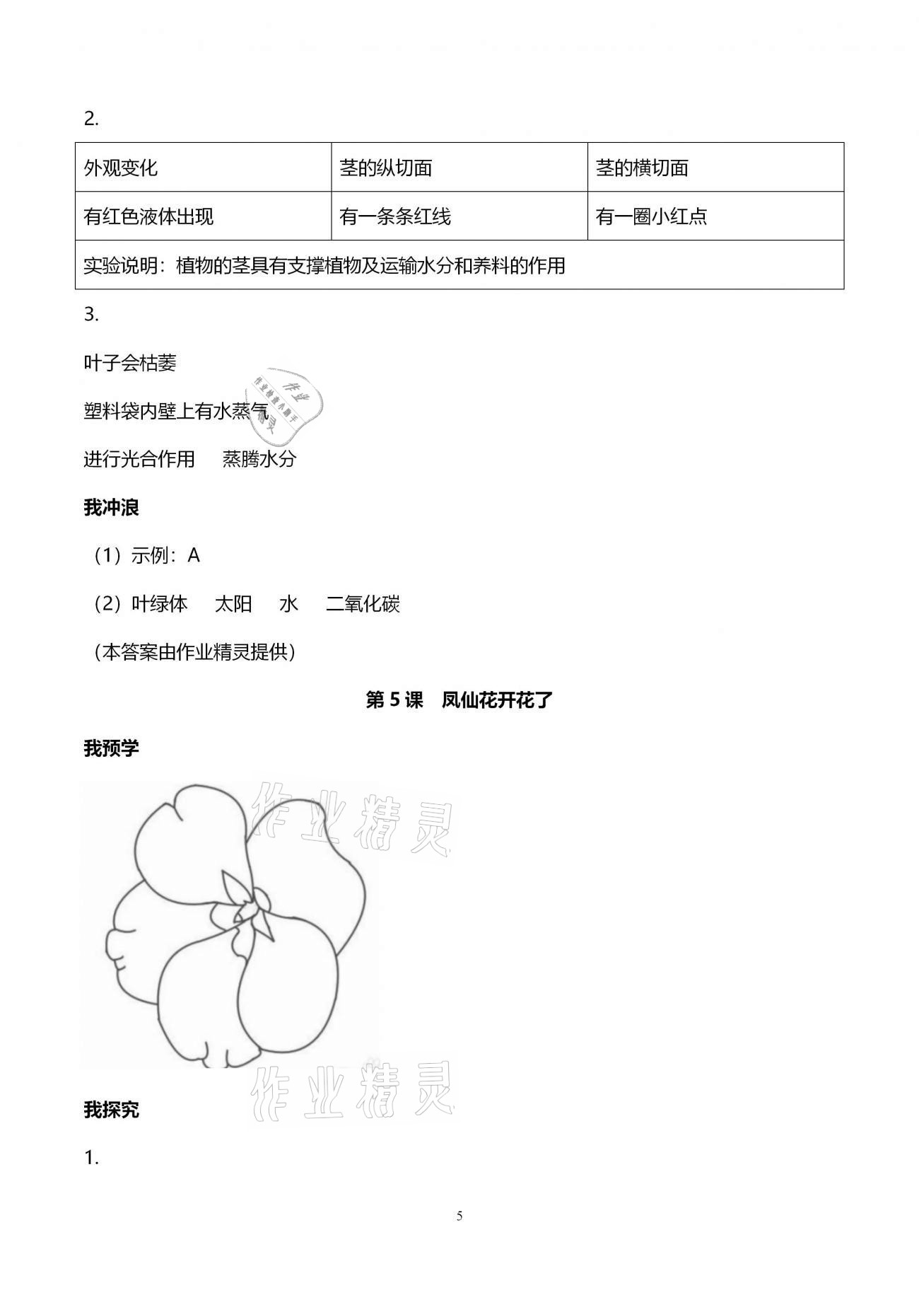 2021年导学新作业四年级科学下册教科版 第5页