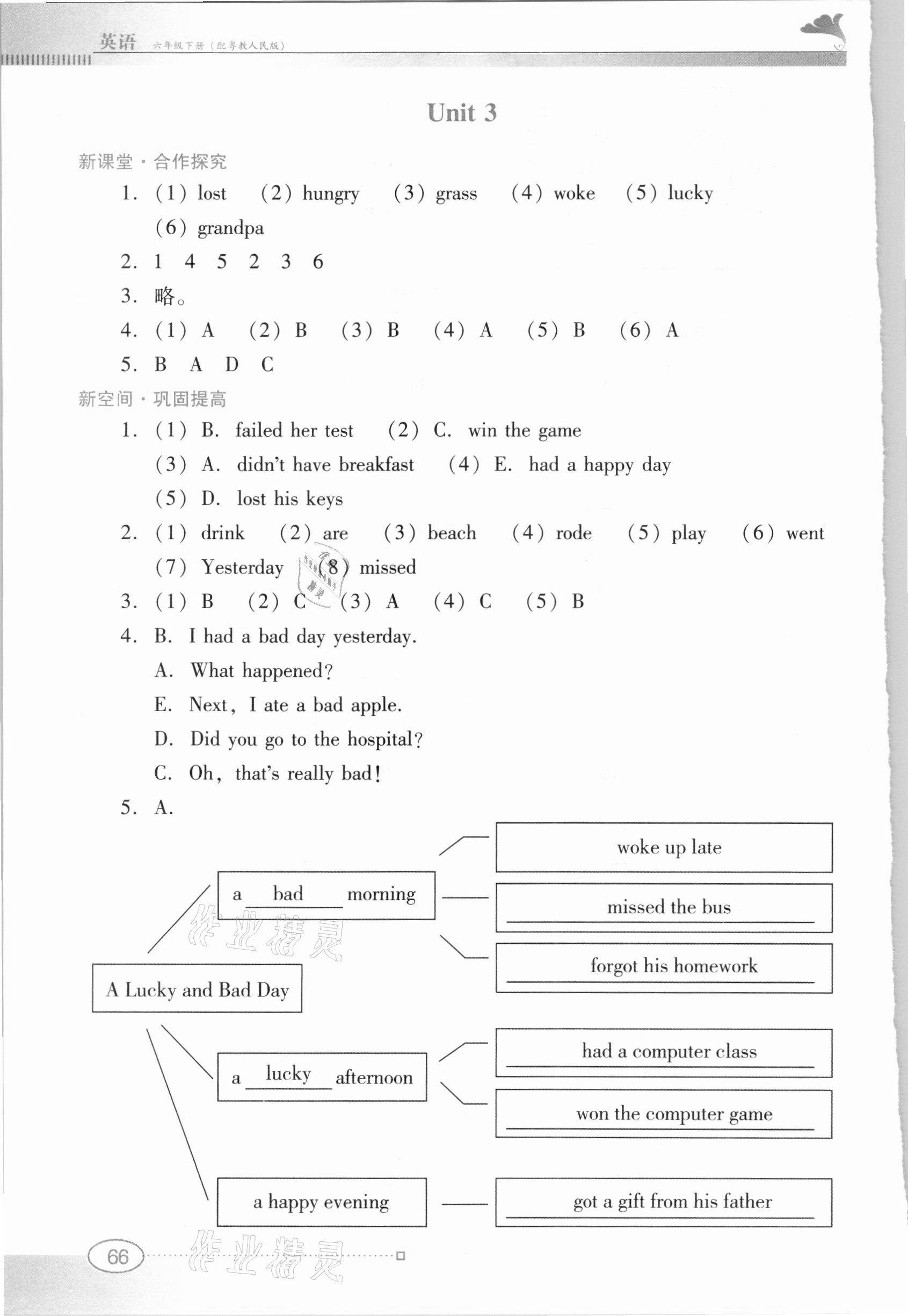 2021年南方新課堂金牌學(xué)案六年級(jí)英語(yǔ)下冊(cè)粵人版 第4頁(yè)