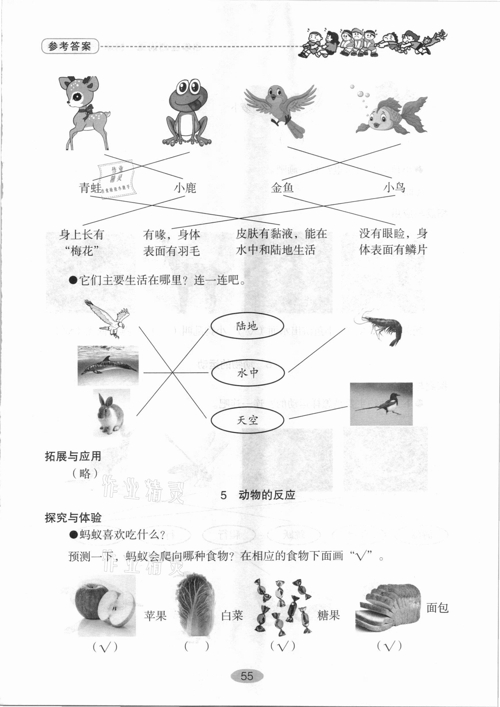 2021年小学基础训练一年级科学下册青岛版山东教育出版社 参考答案第4页