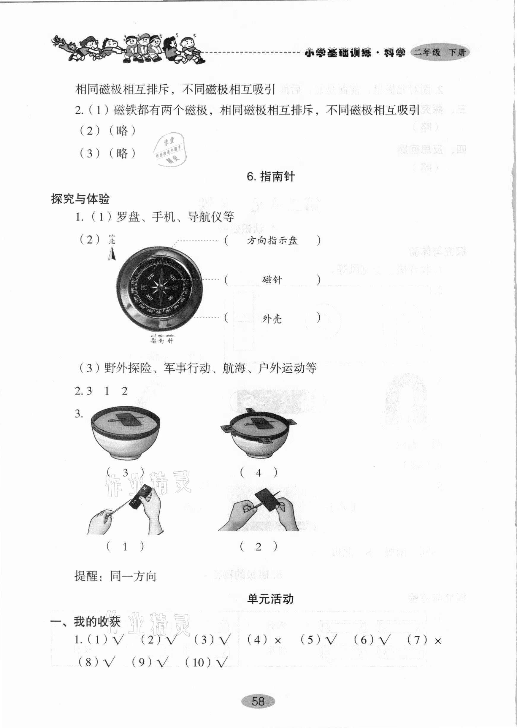 2021年小学基础训练二年级科学下册青岛版山东教育出版社 第4页