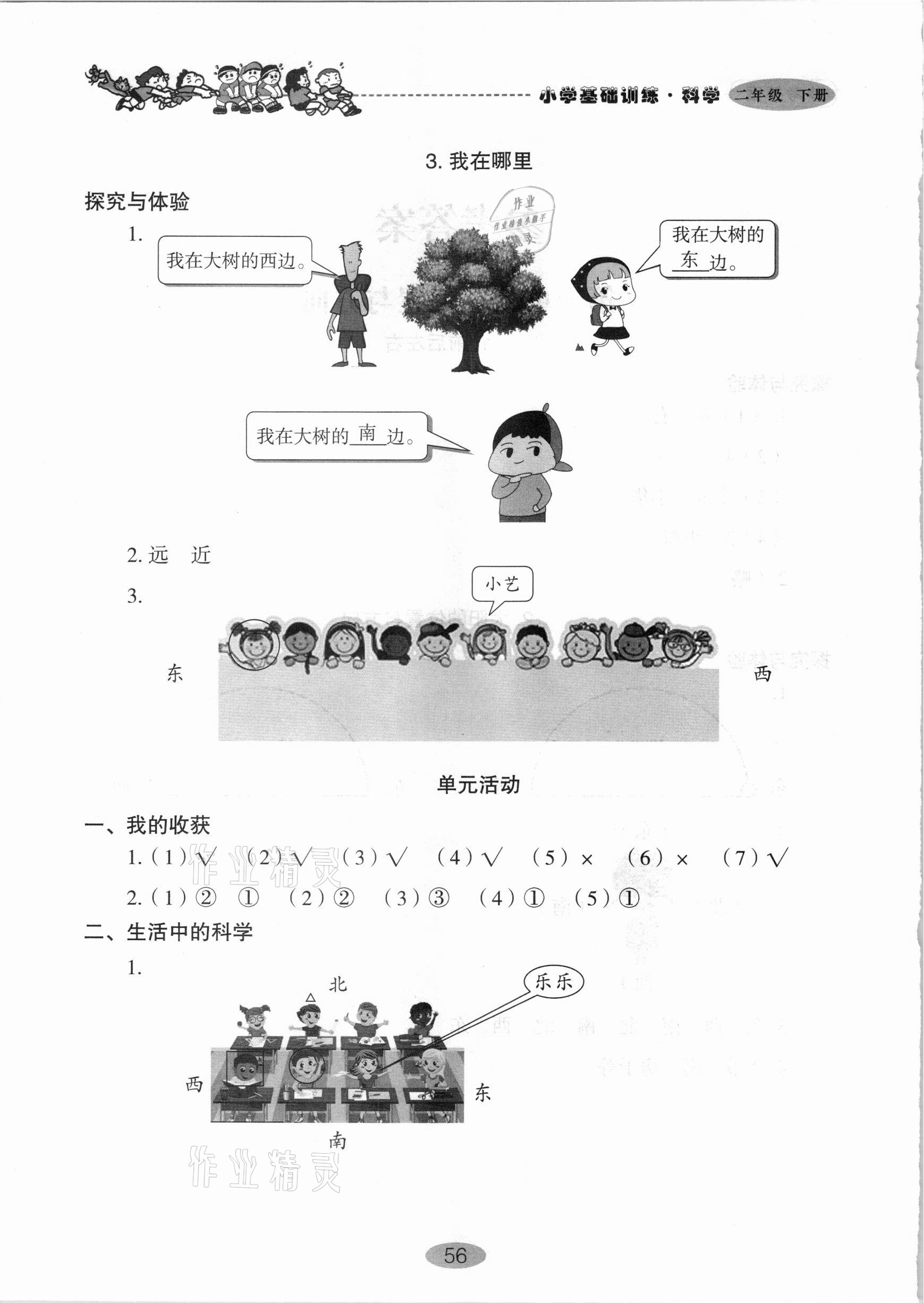 2021年小學(xué)基礎(chǔ)訓(xùn)練二年級科學(xué)下冊青島版山東教育出版社 第2頁