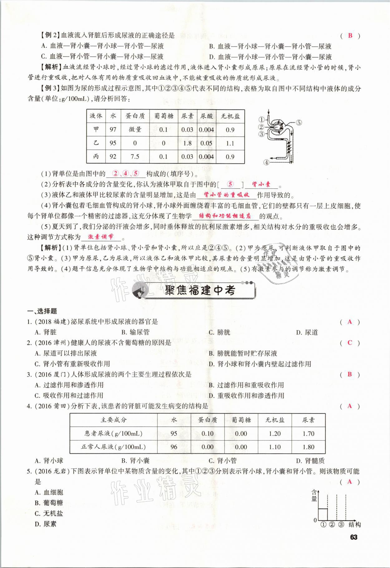 2021年聚焦中考生物福建專版 參考答案第63頁