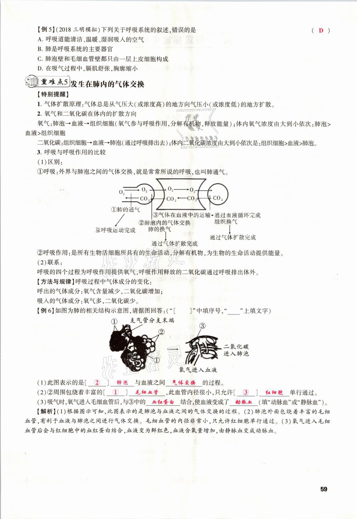 2021年聚焦中考生物福建專(zhuān)版 參考答案第59頁(yè)