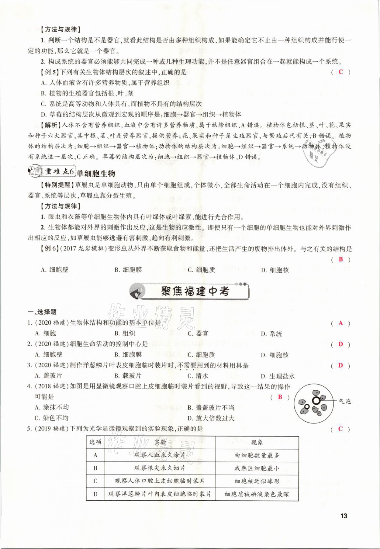 2021年聚焦中考生物福建專版 參考答案第13頁