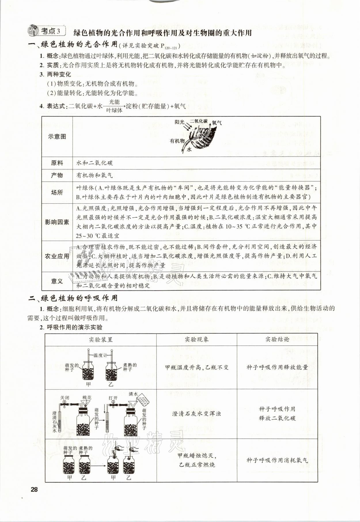 2021年聚焦中考生物福建專(zhuān)版 參考答案第28頁(yè)