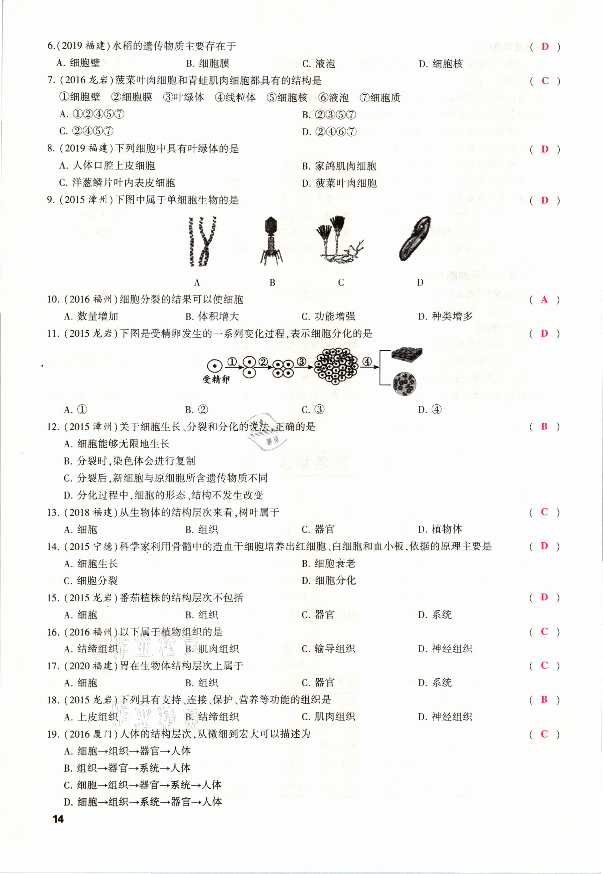 2021年聚焦中考生物福建專版 參考答案第14頁