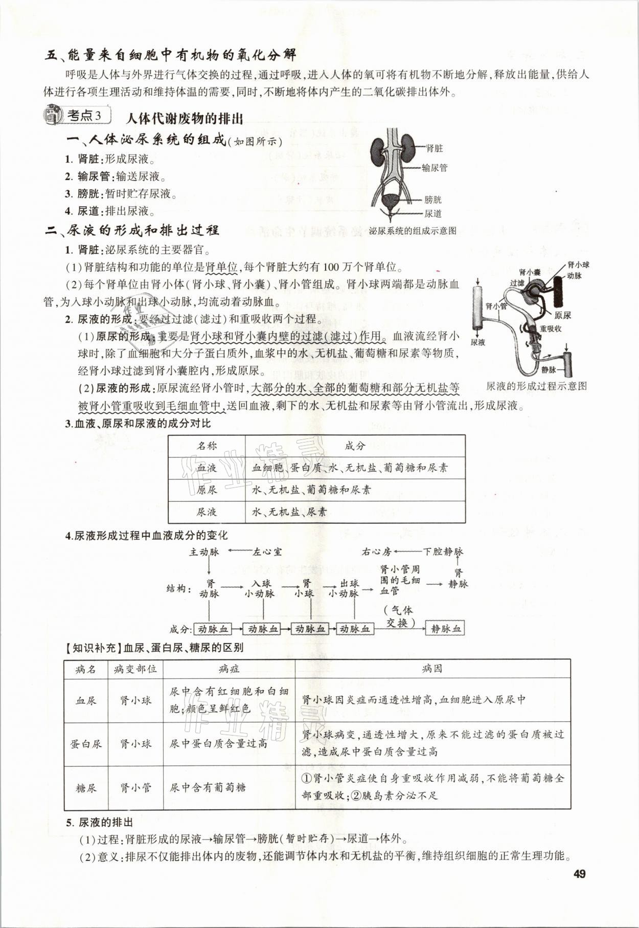 2021年聚焦中考生物福建專版 參考答案第49頁