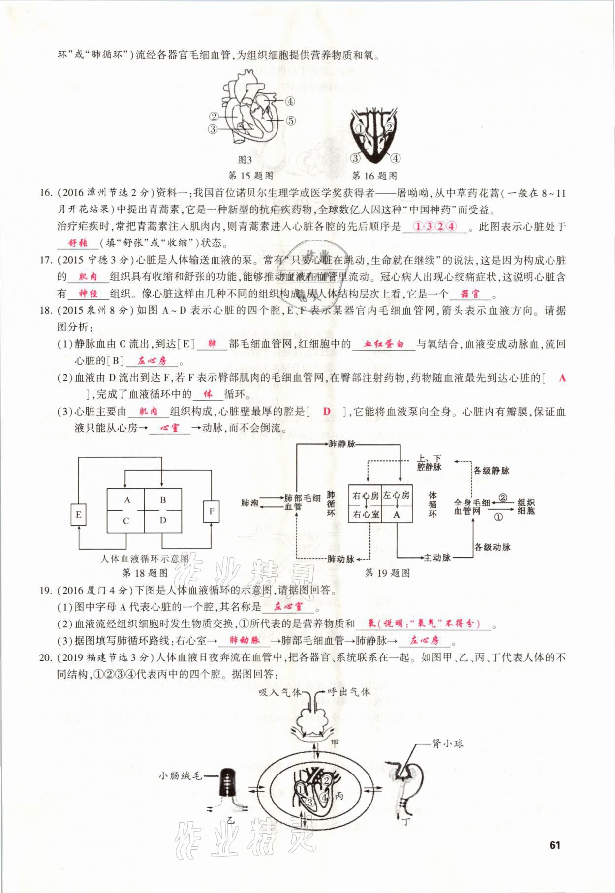 2021年聚焦中考生物福建專版 參考答案第61頁(yè)