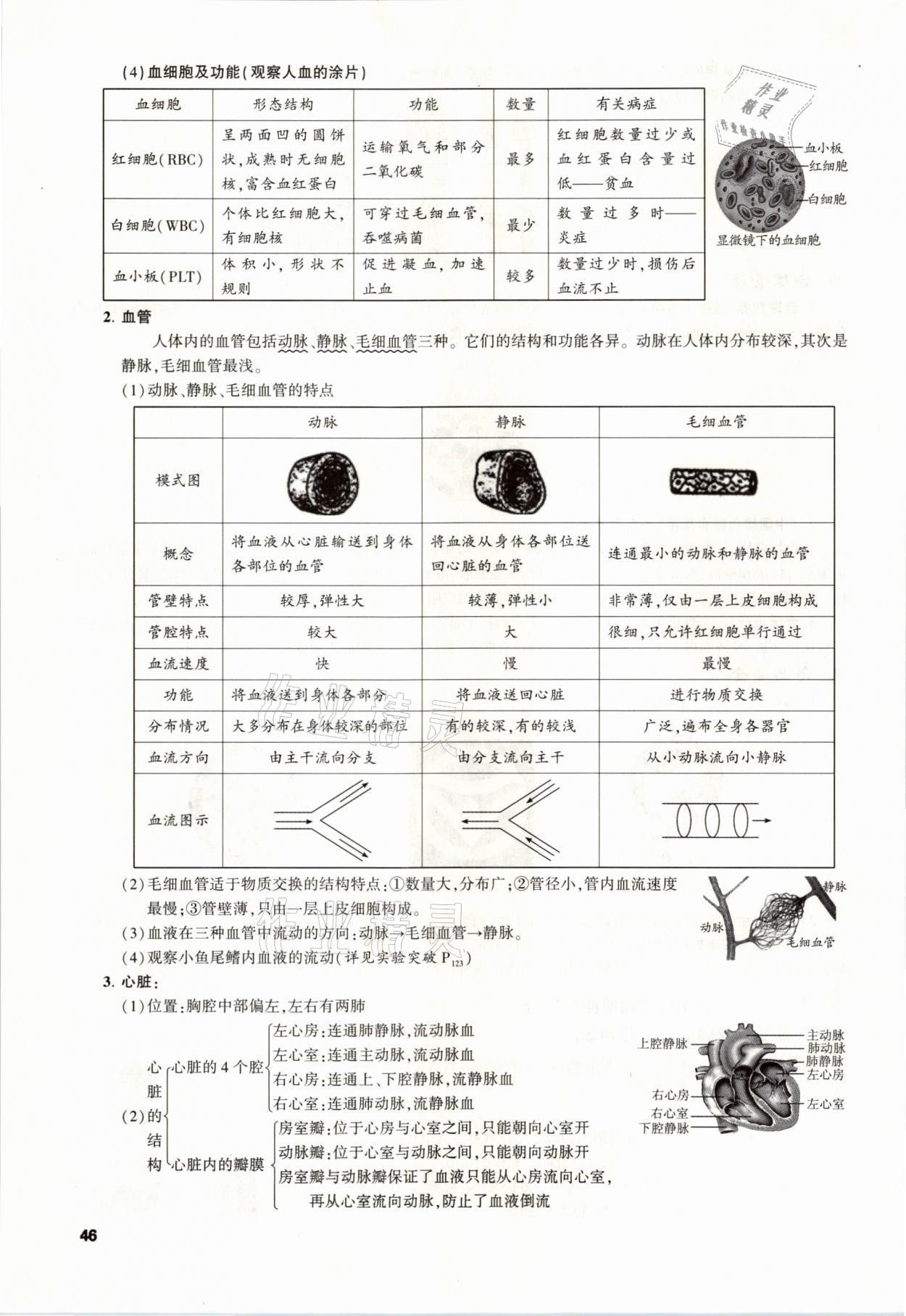 2021年聚焦中考生物福建專(zhuān)版 參考答案第46頁(yè)