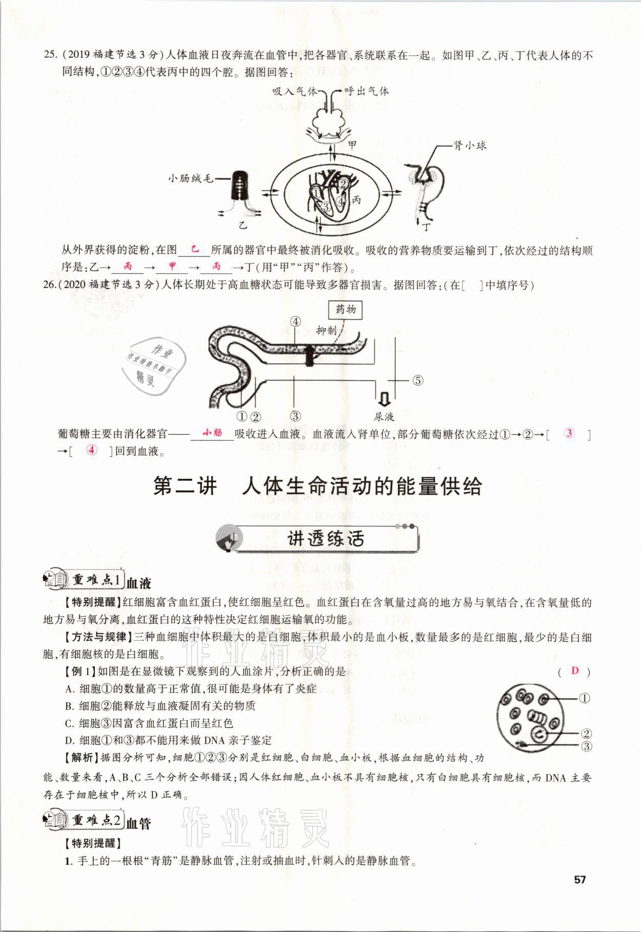 2021年聚焦中考生物福建專版 參考答案第57頁