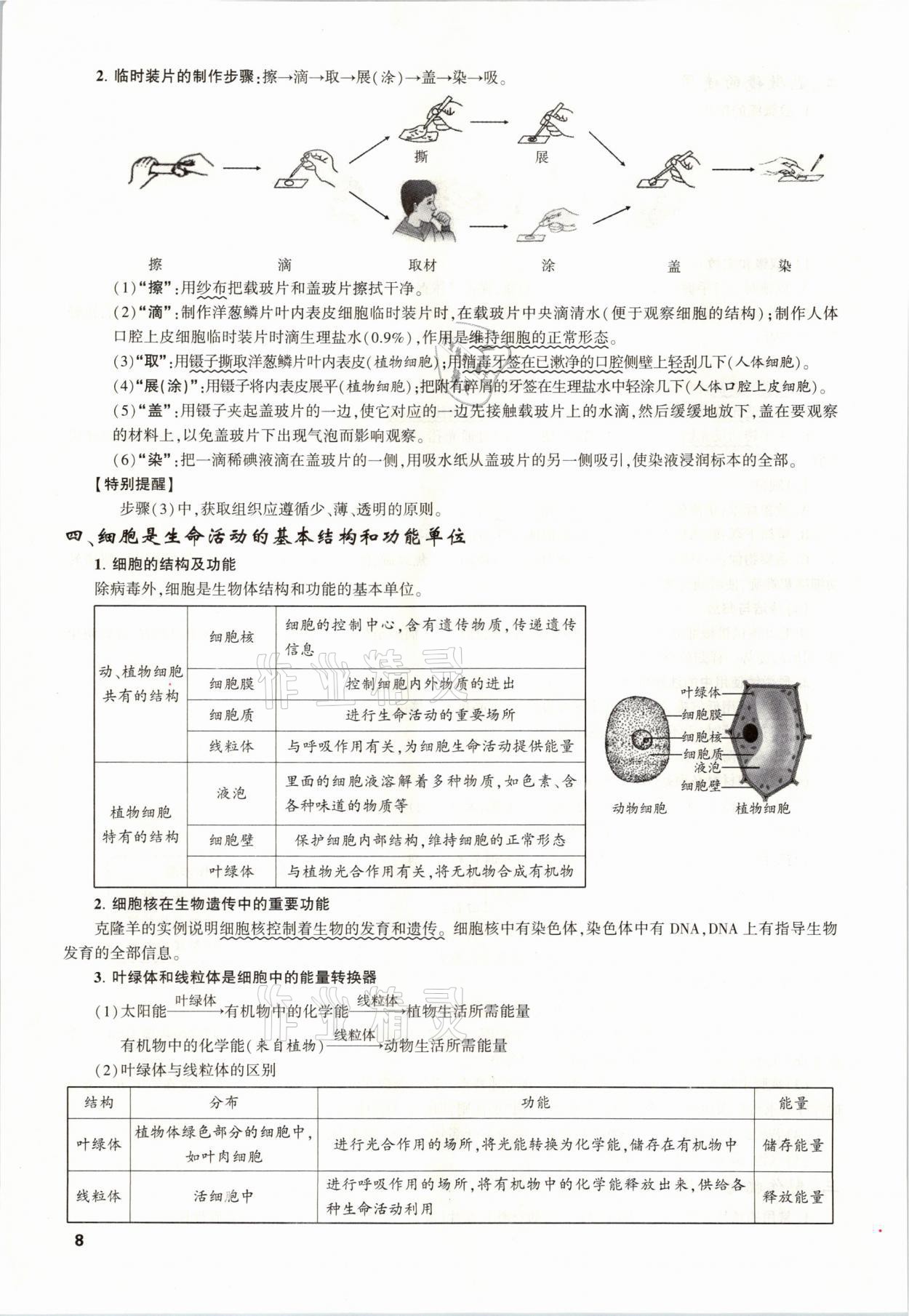 2021年聚焦中考生物福建專版 參考答案第8頁