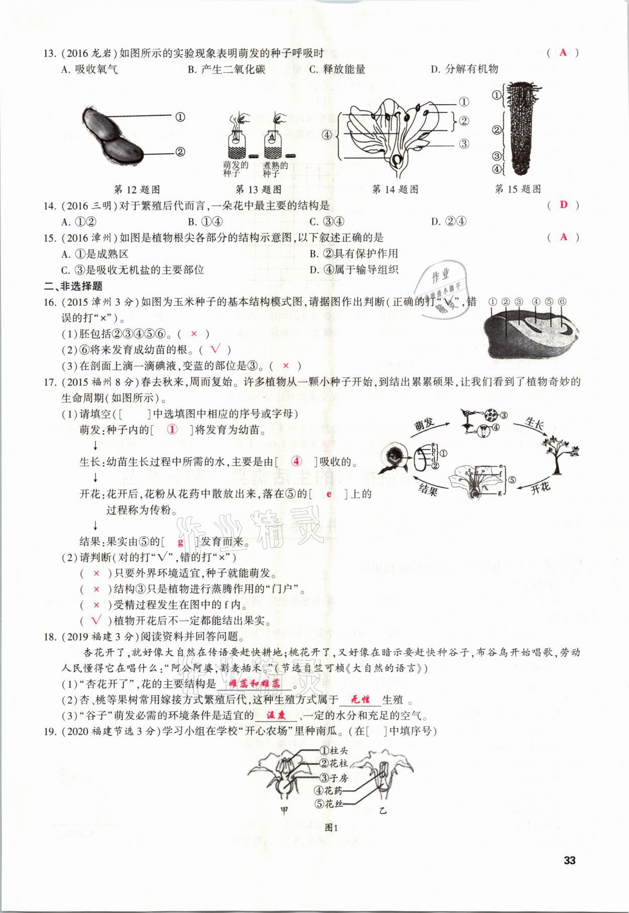 2021年聚焦中考生物福建專版 參考答案第33頁(yè)